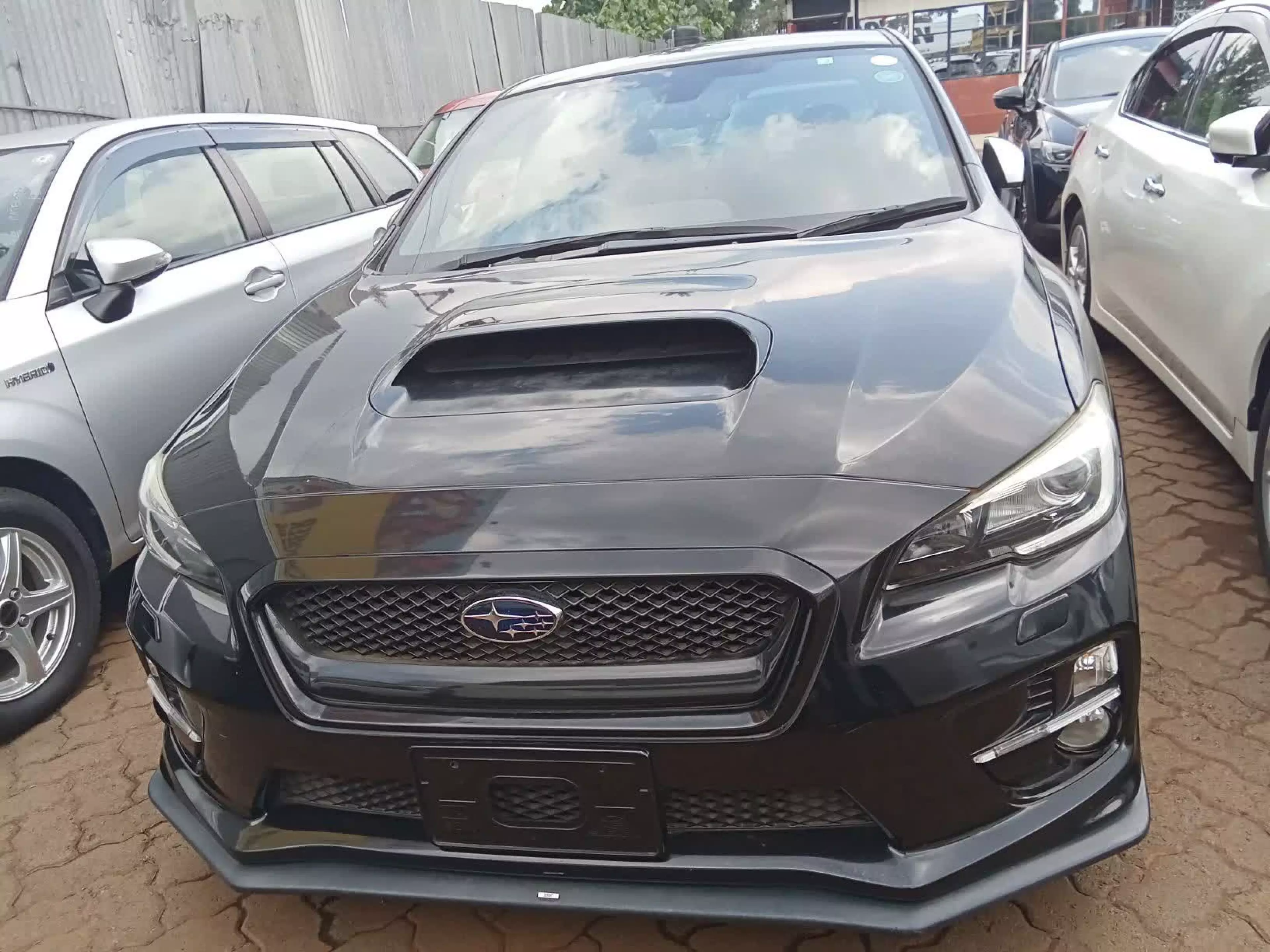 Subaru WRX STI   - 2016