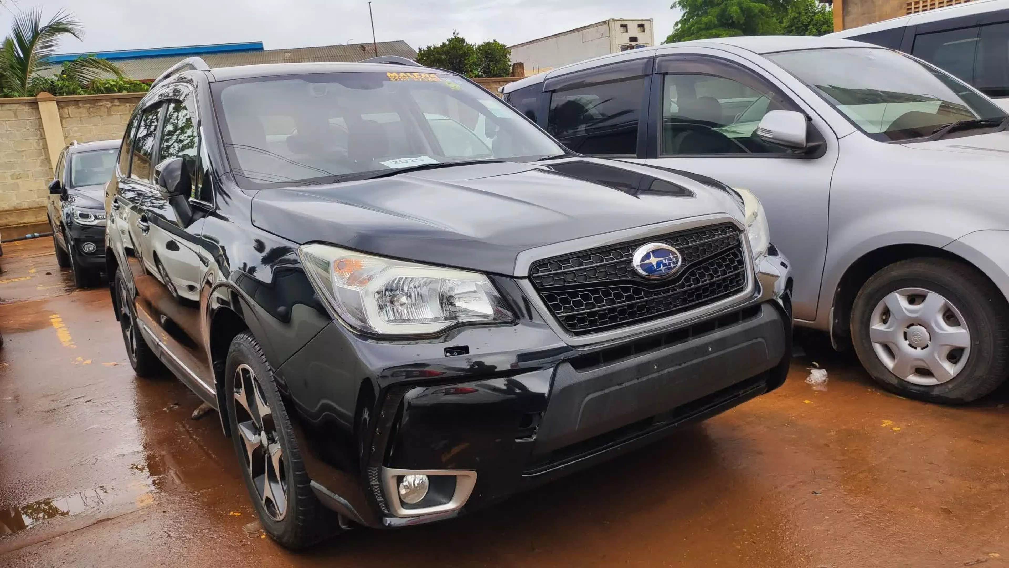 Subaru XT - 2015