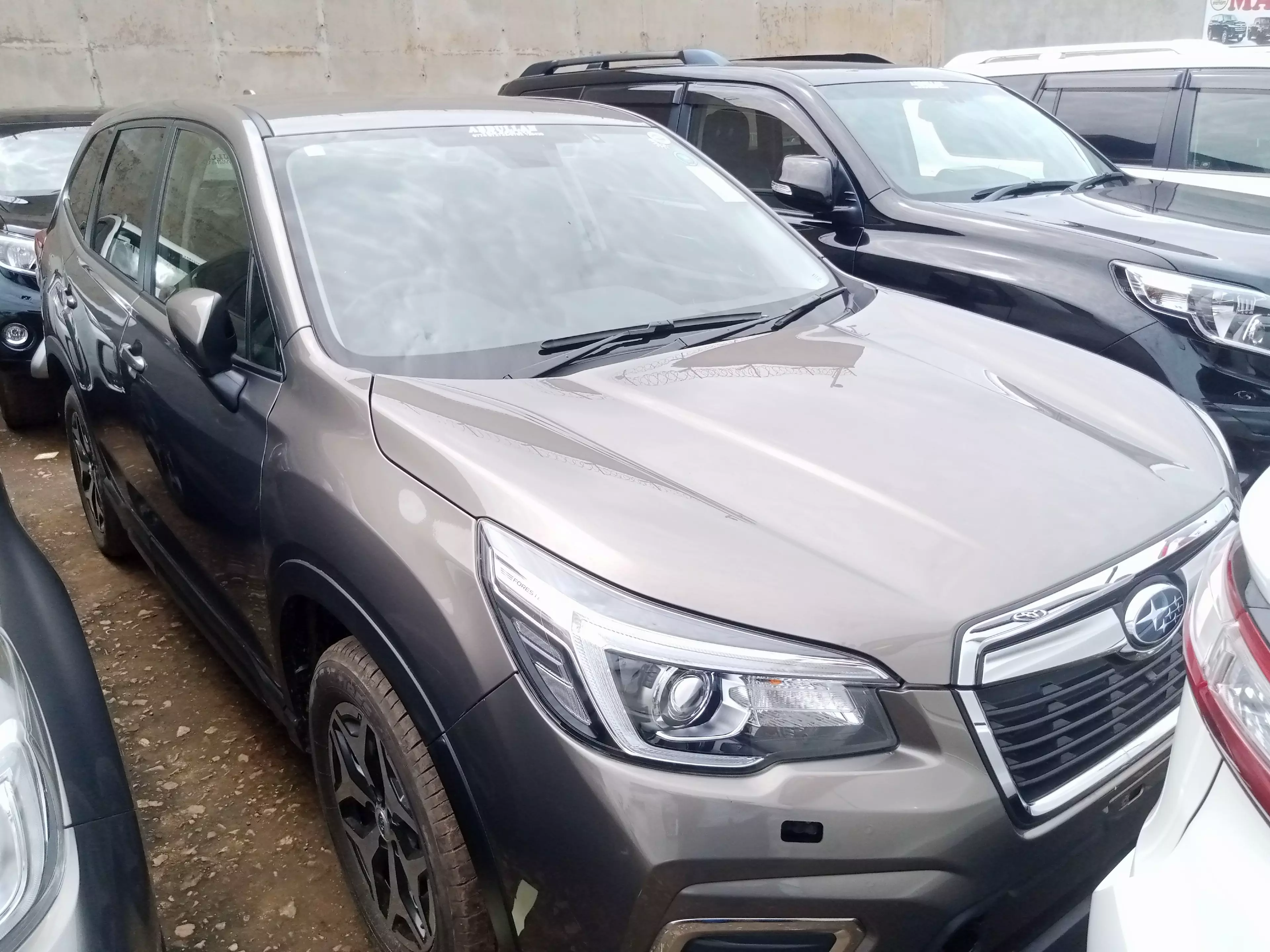 Subaru Forester   - 2019