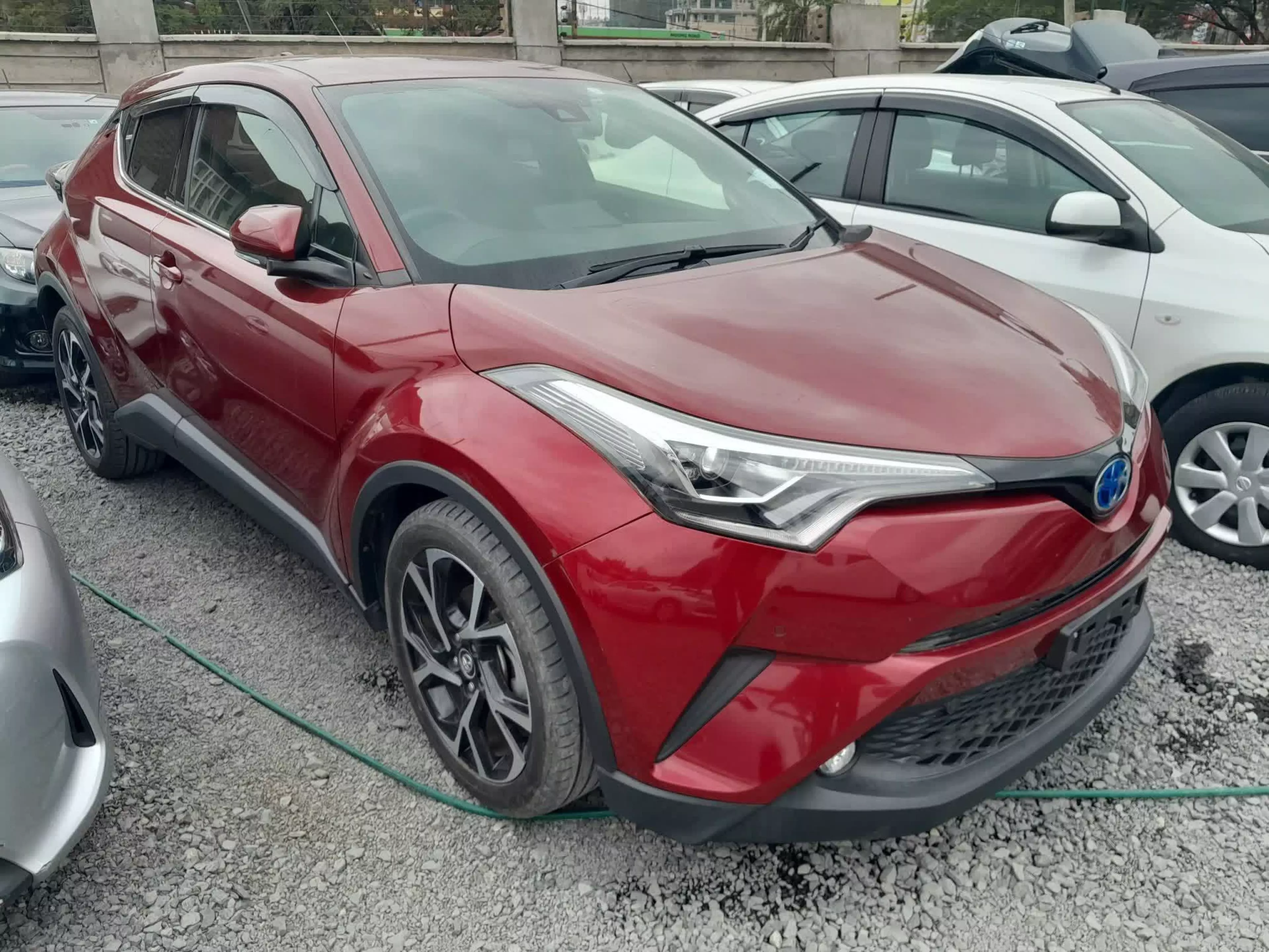 Toyota C-HR - 2017