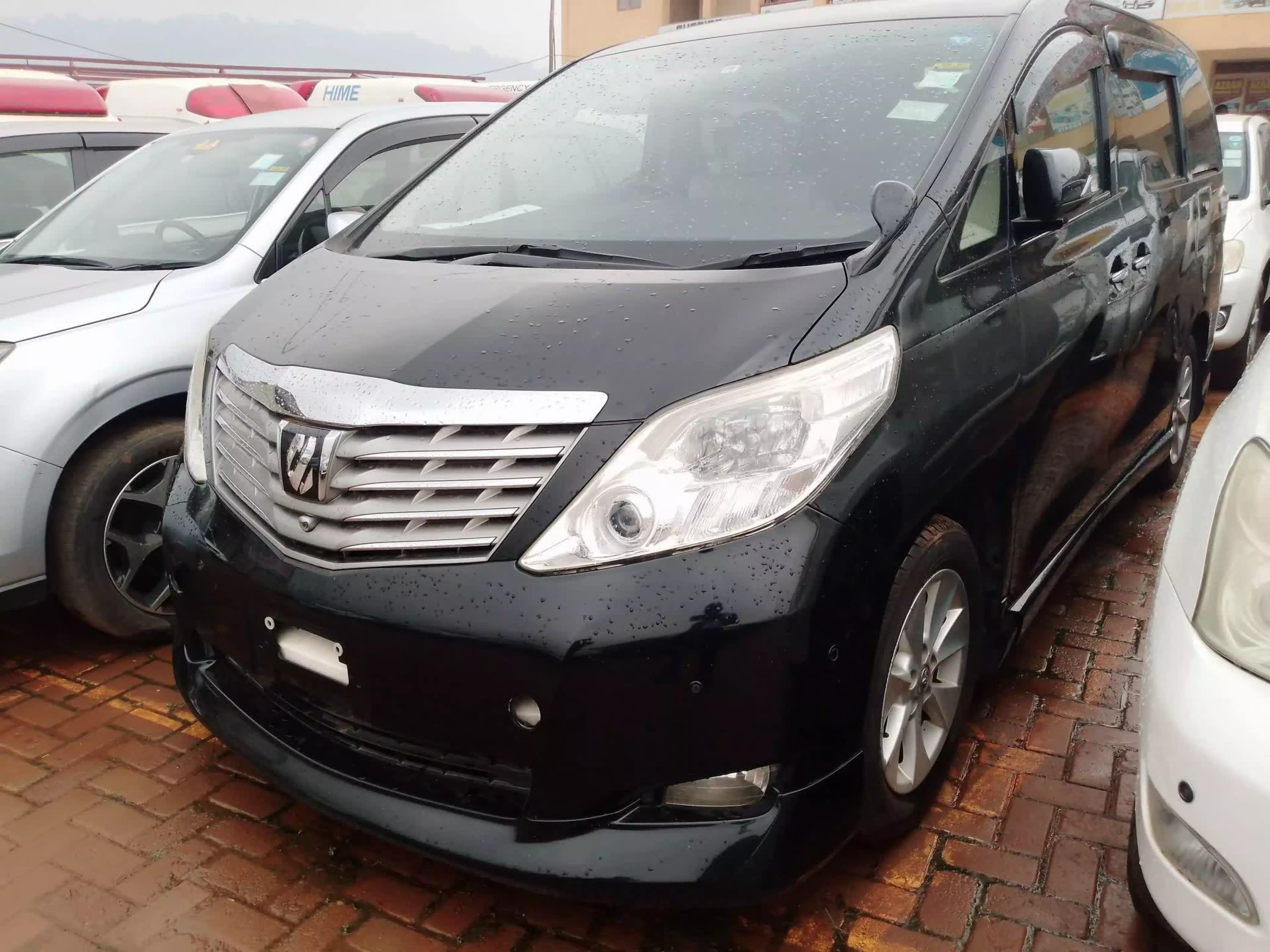 Toyota Alphard - 2010