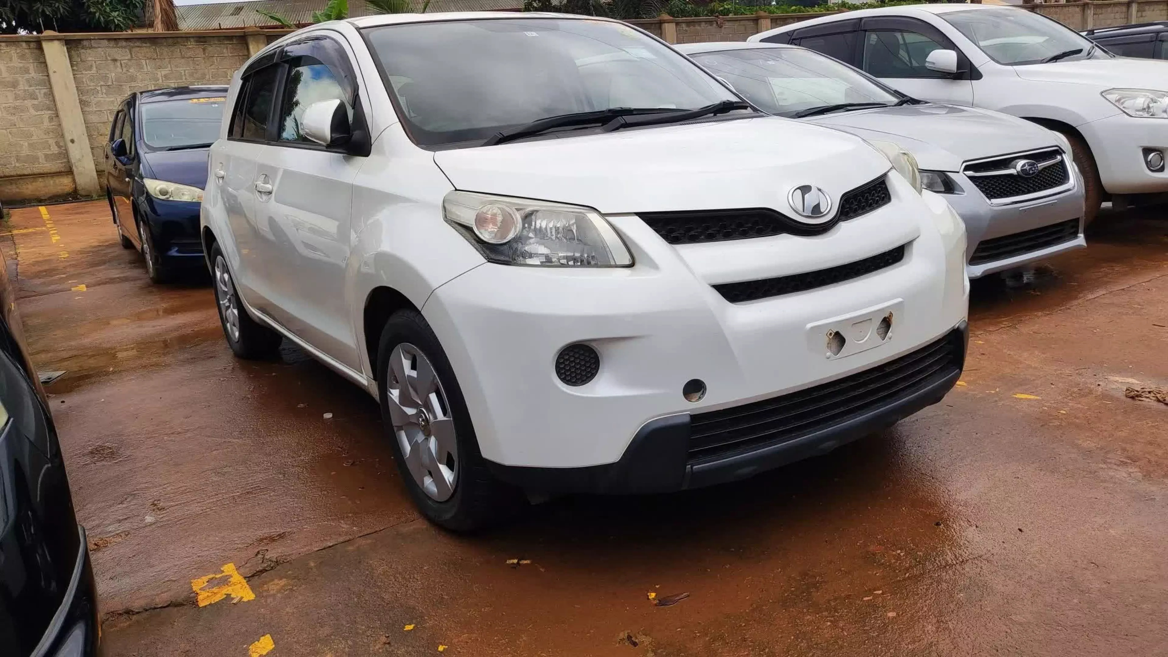 Toyota Ist  - 2009