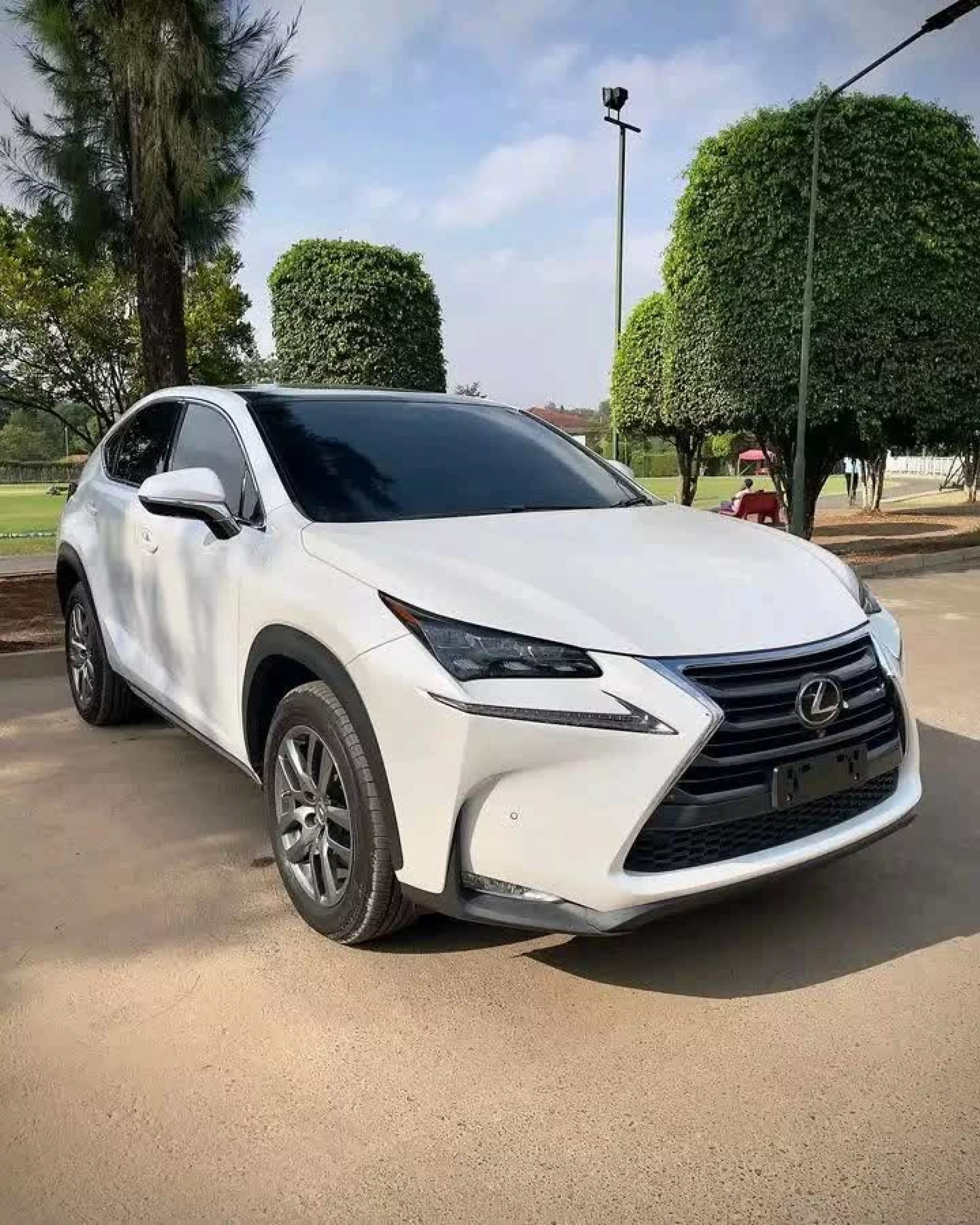 Lexus NX 200 - 2015