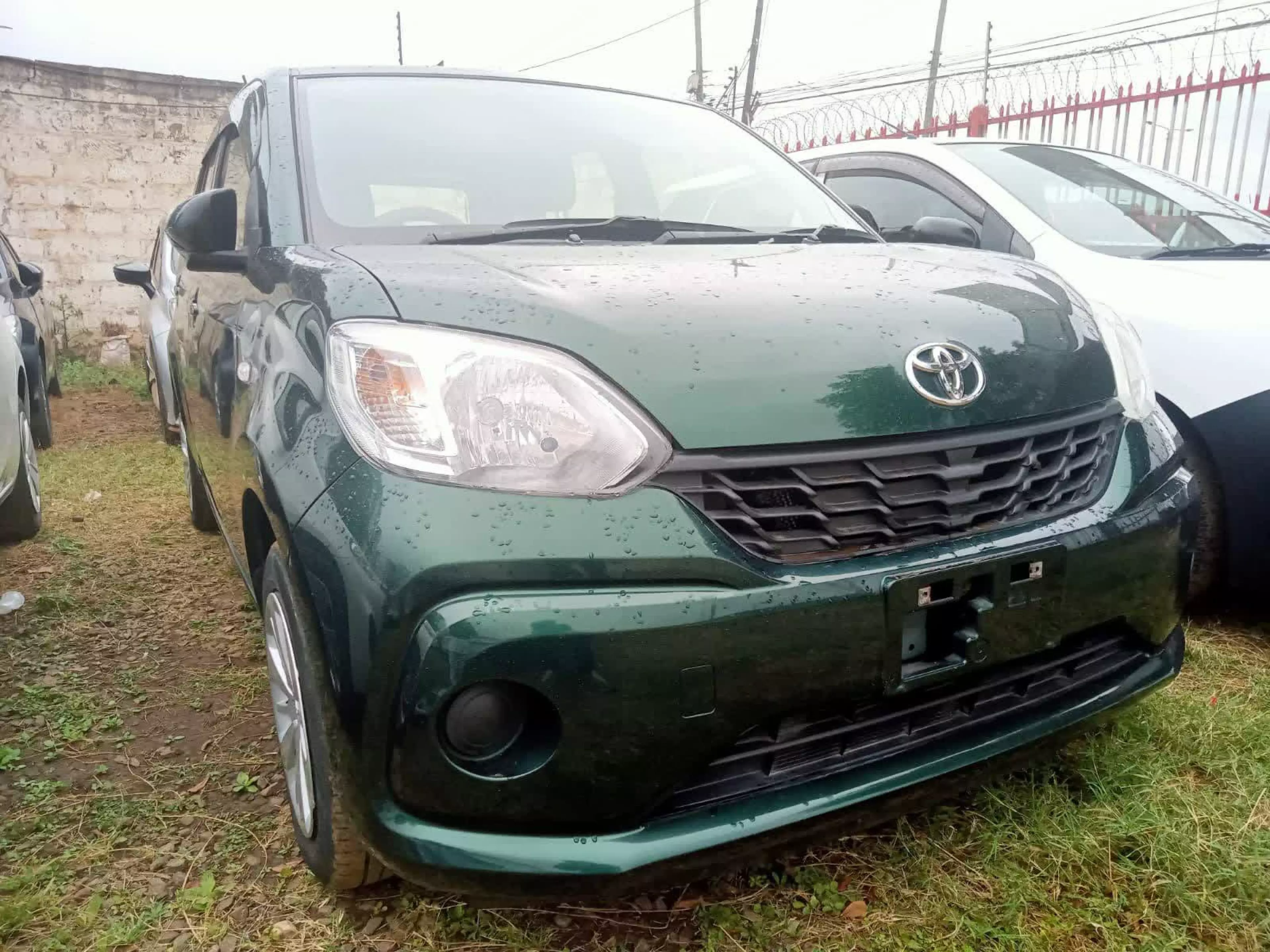 Toyota Passo - 2016