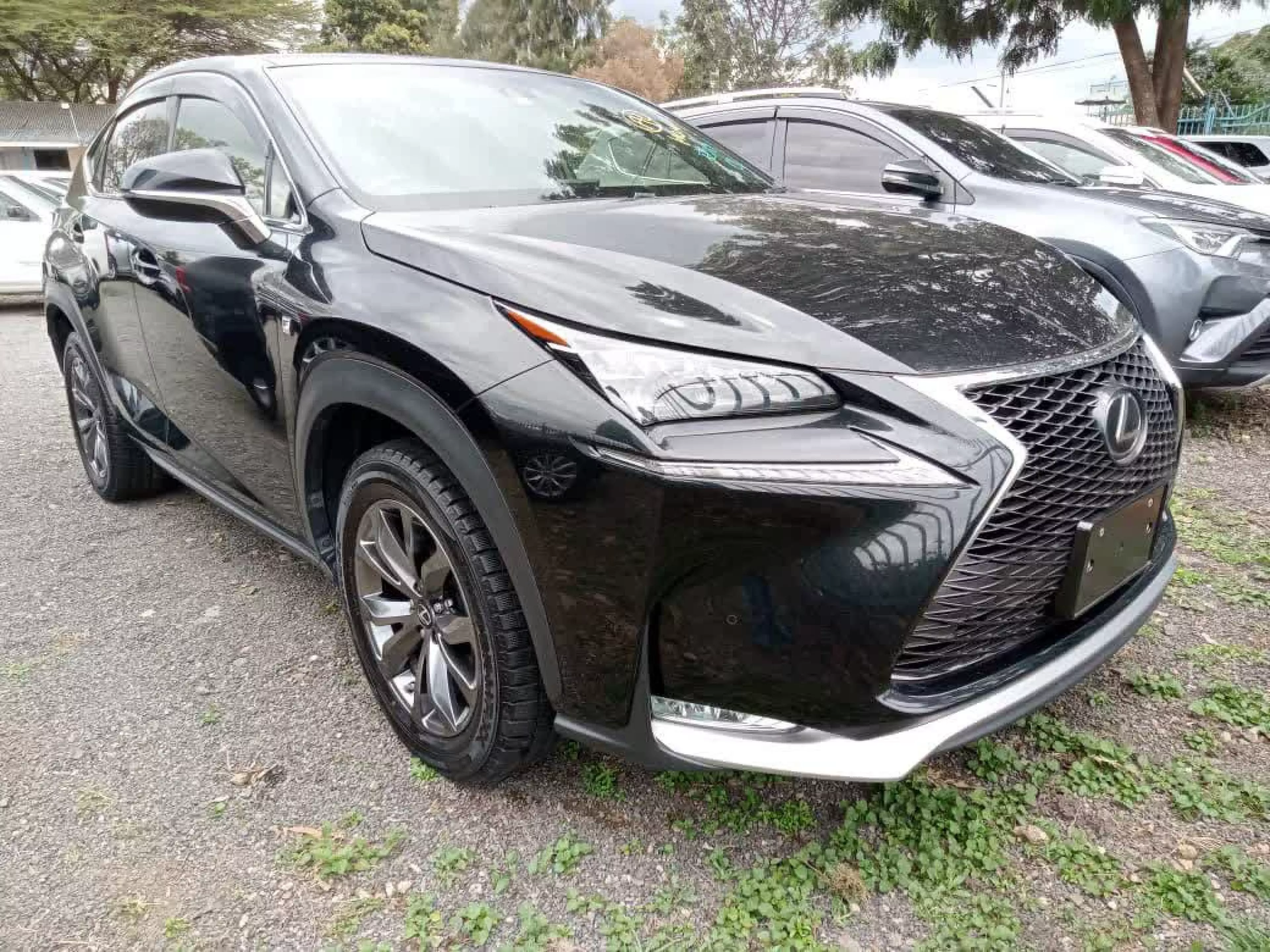 Lexus RX 200 - 2016