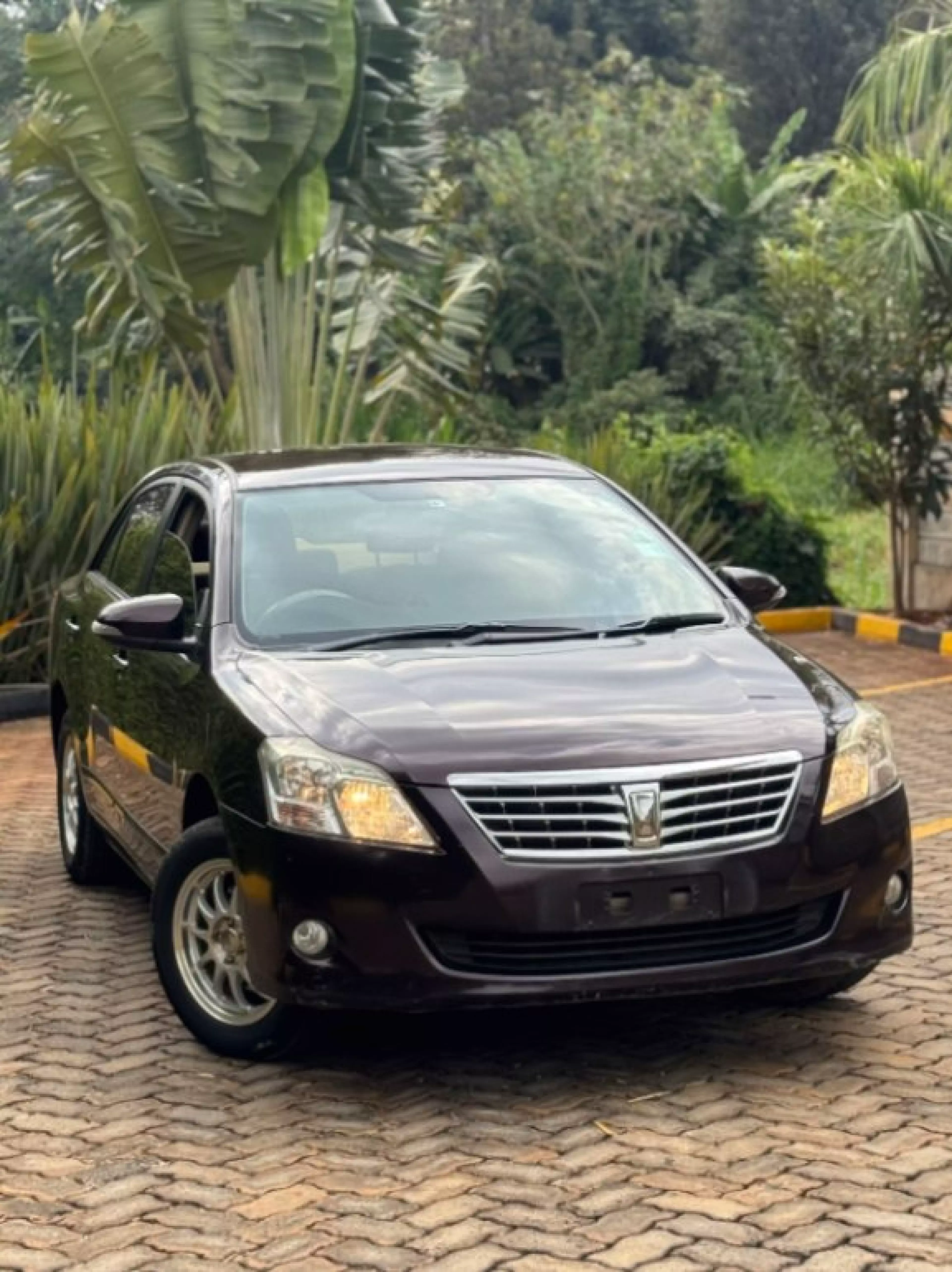 Toyota Premio  - 2015