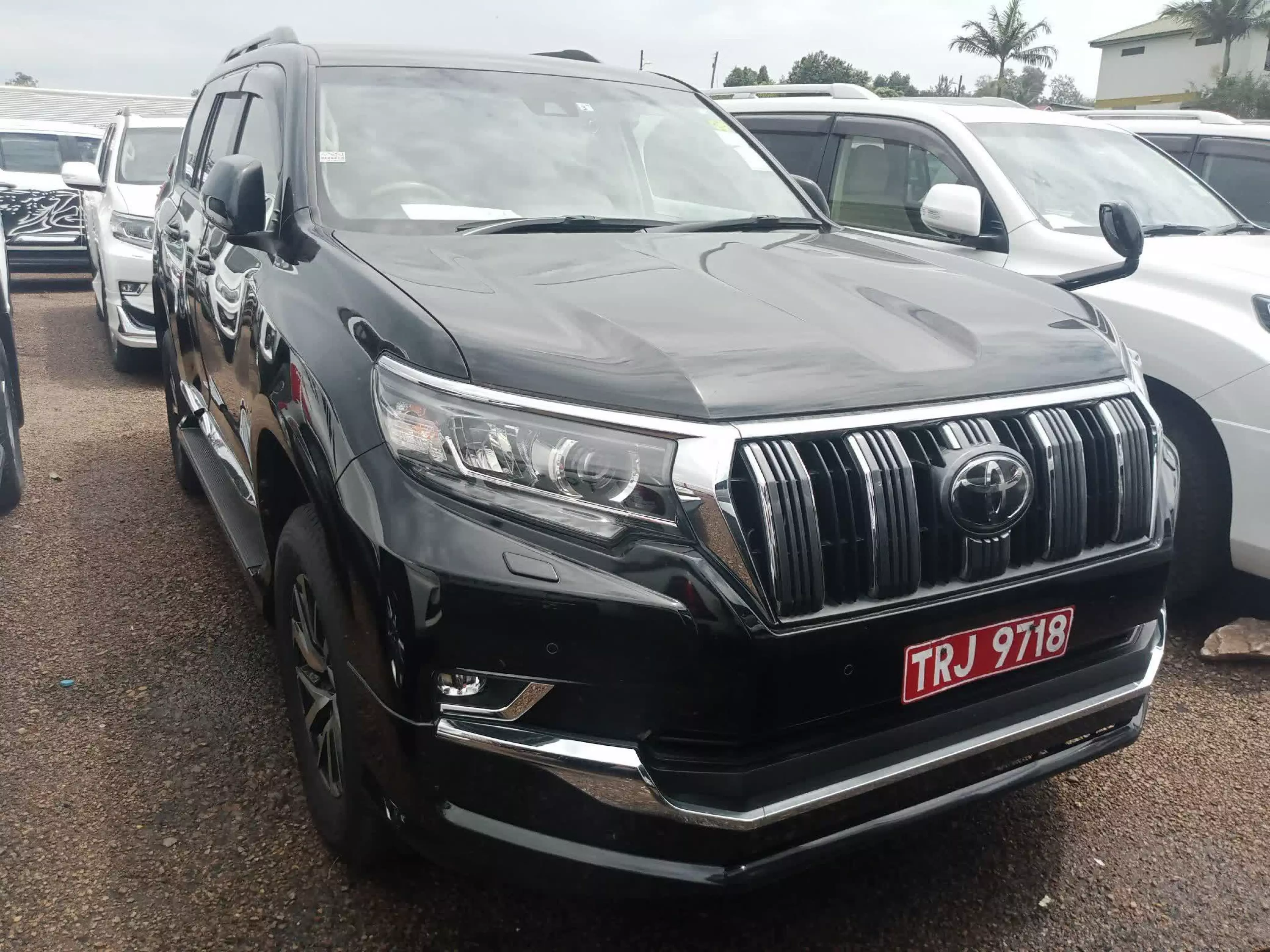 Toyota Landcruiser Prado - 2019