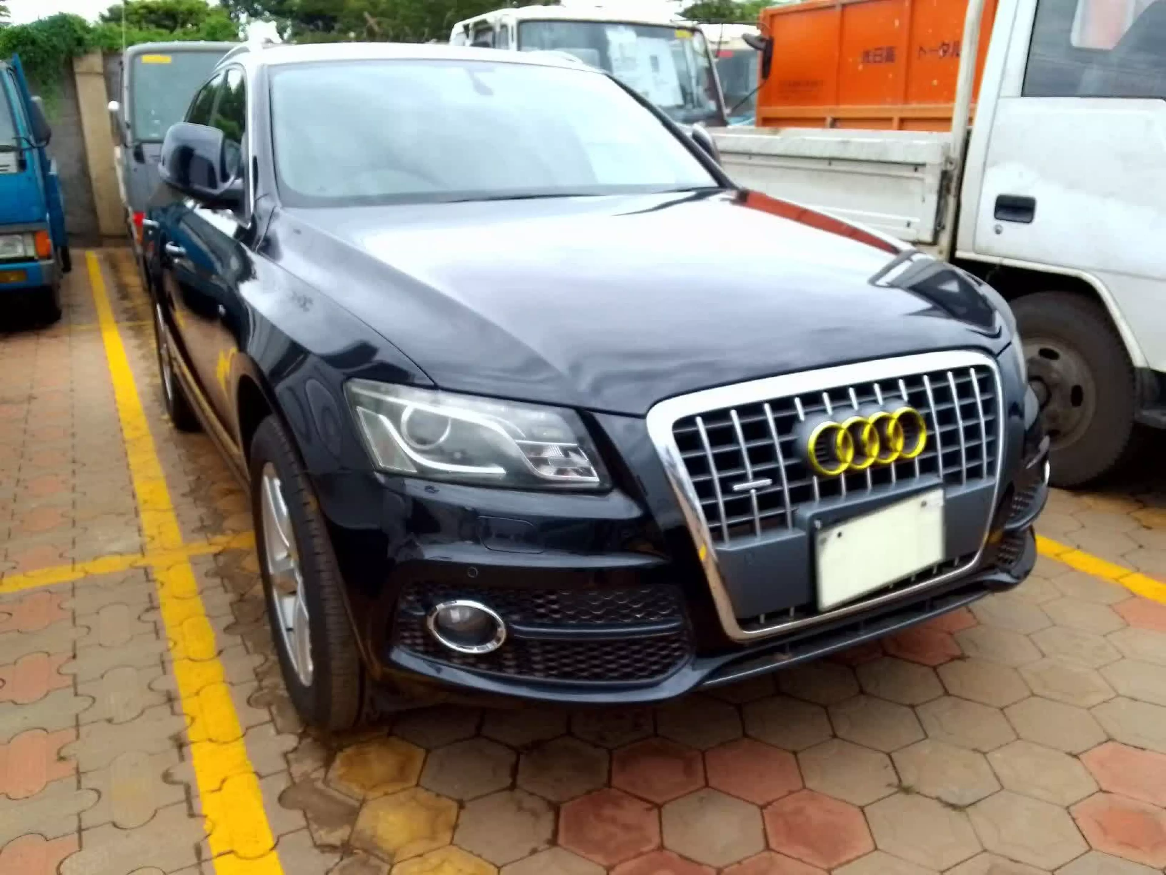 Audi Q5 - 2010