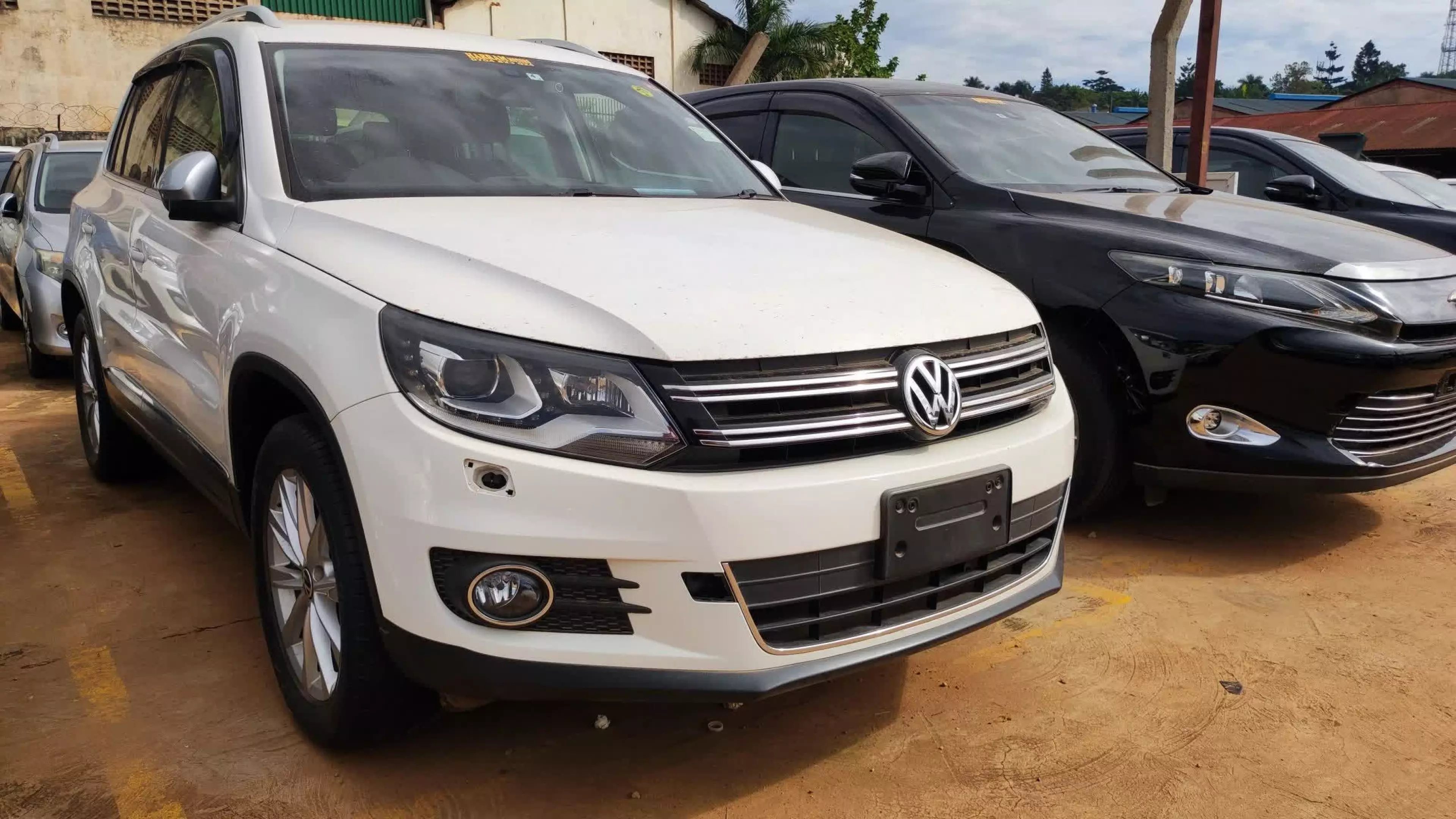Volkswagen Tiguan - 2009