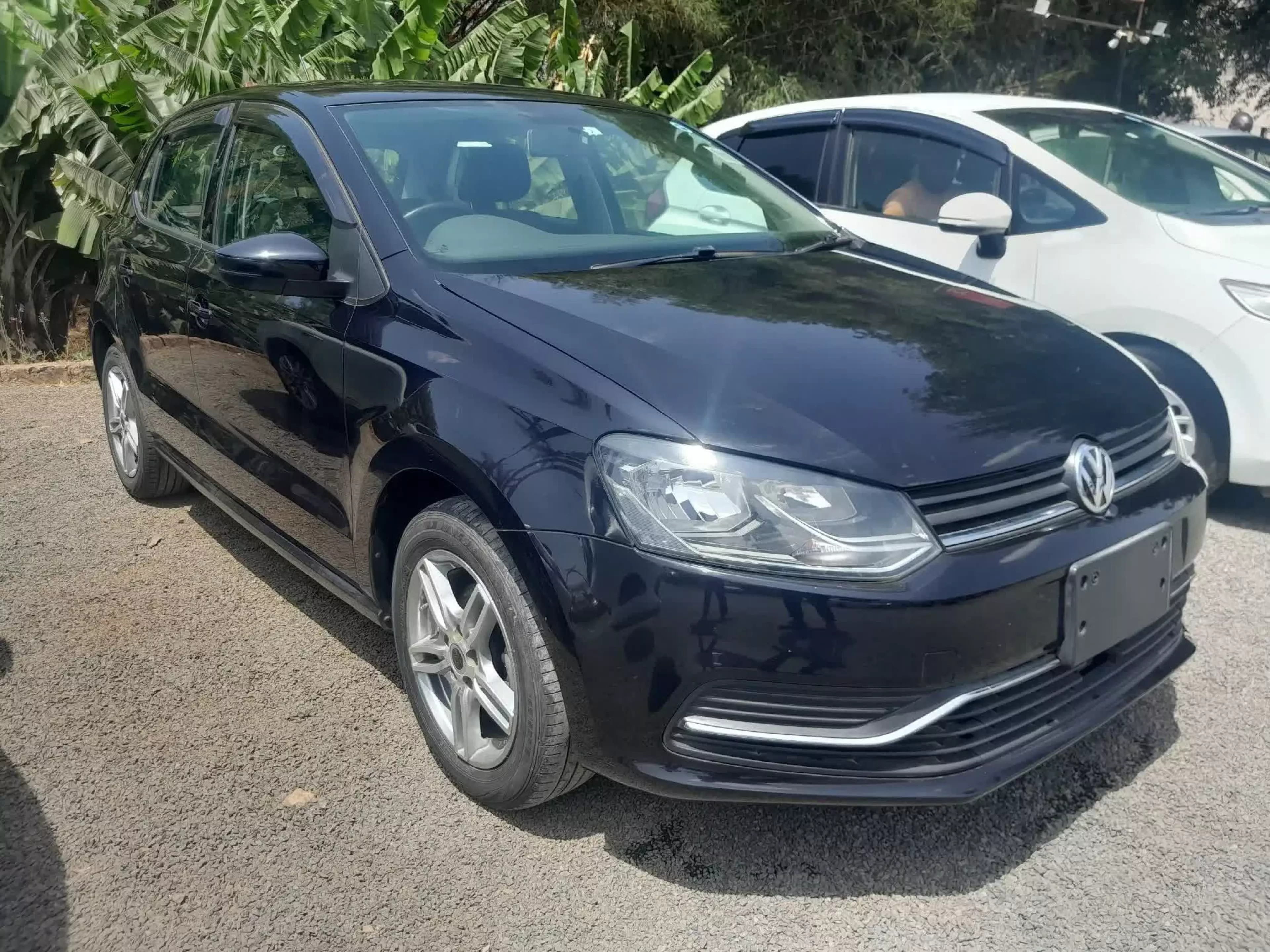 Volkswagen POLO - 2015