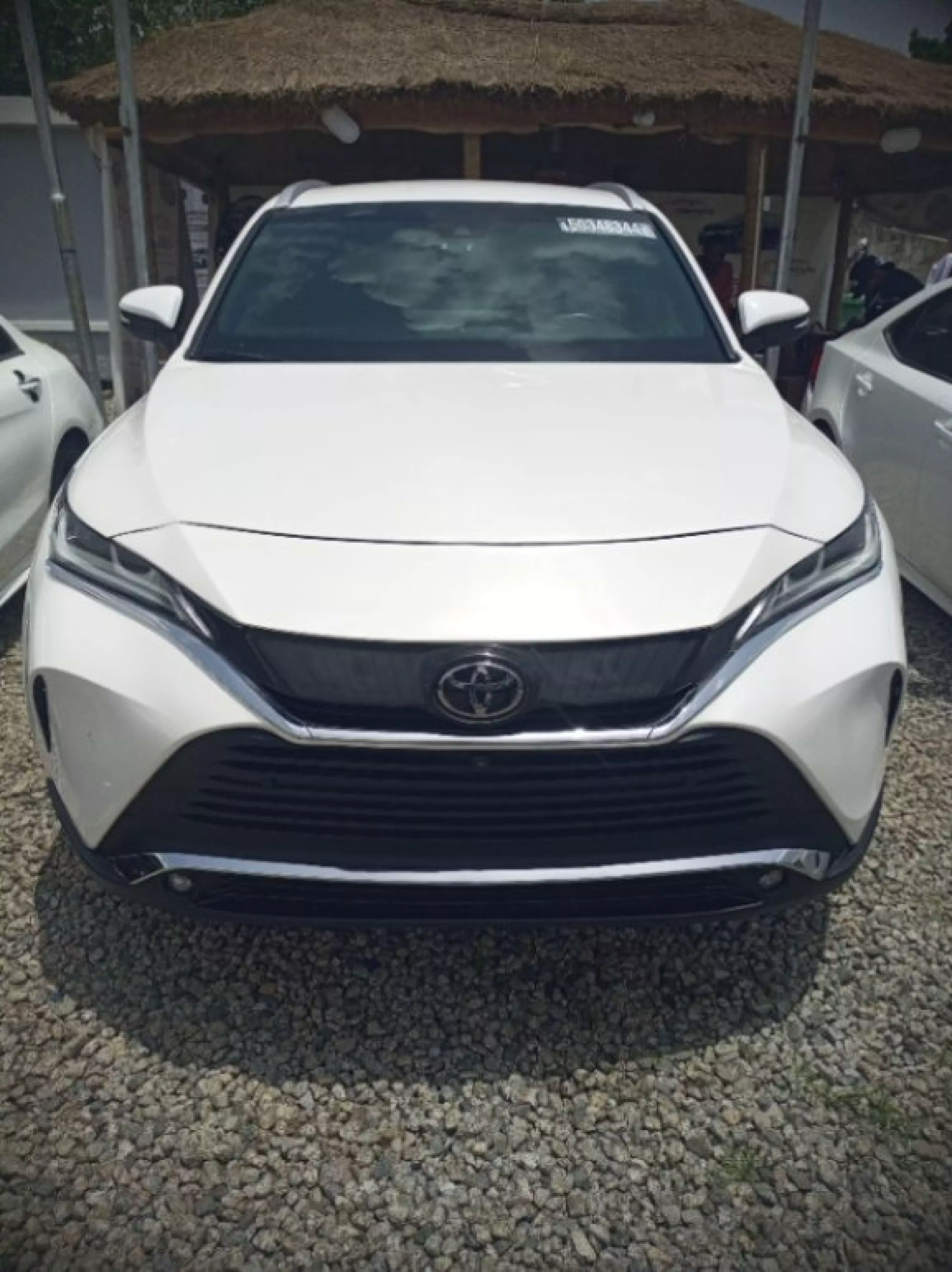 Toyota Venza - 2021