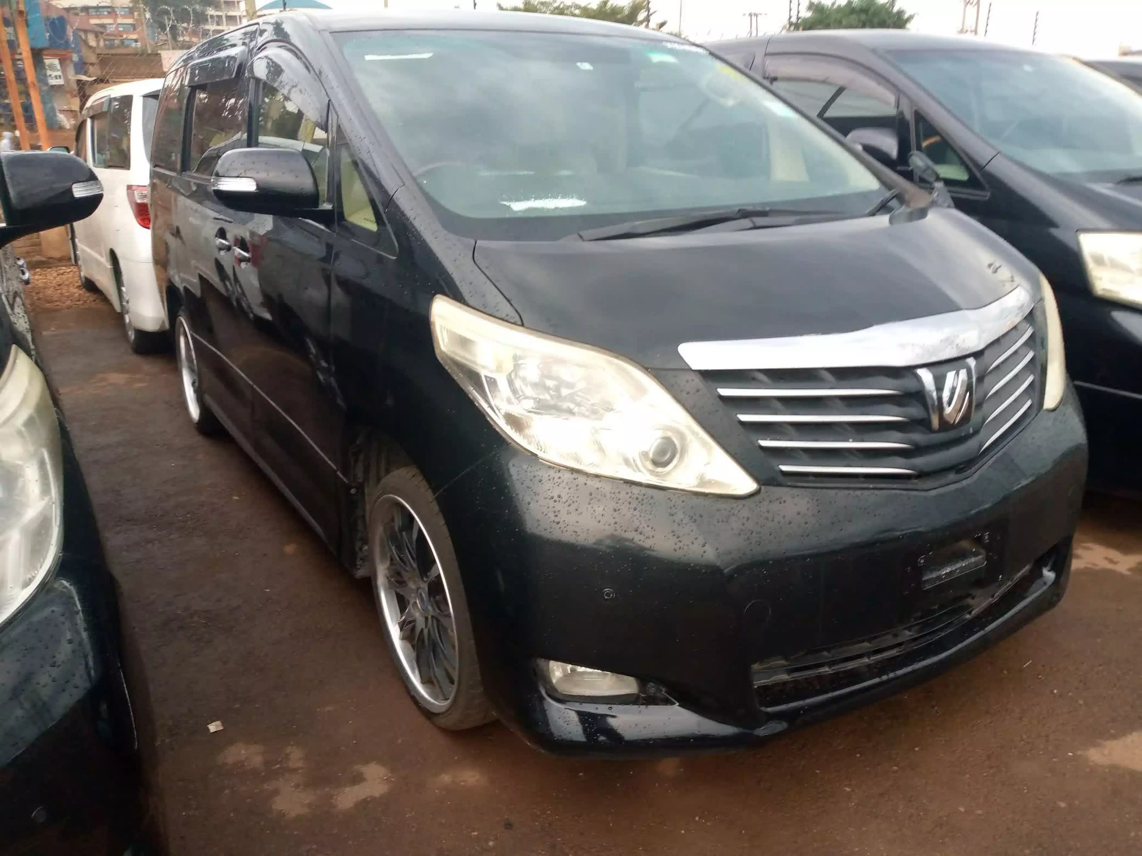 Toyota Alphard - 2008