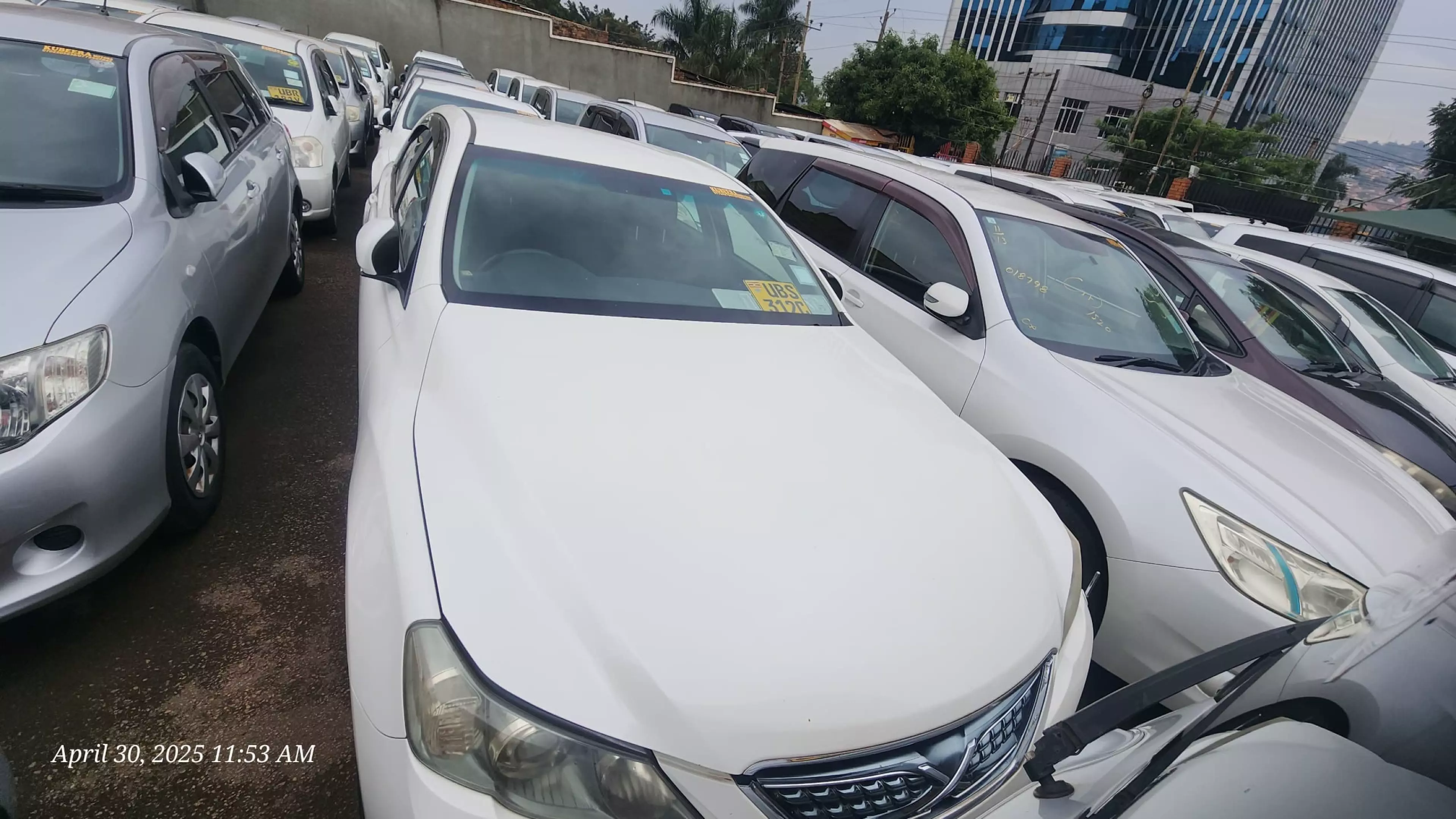Toyota Mark X - 2013