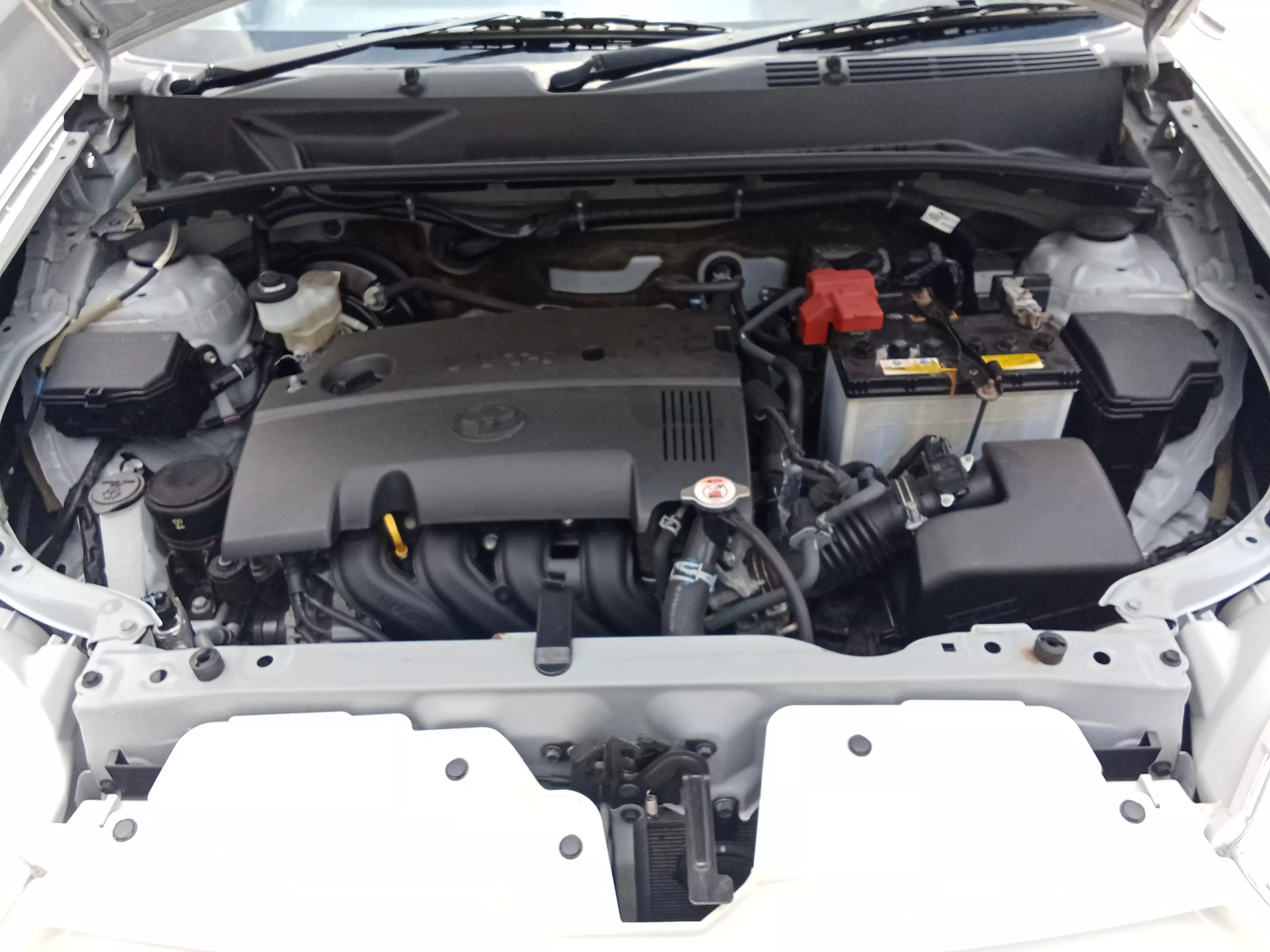 Toyota Probox    - 2019