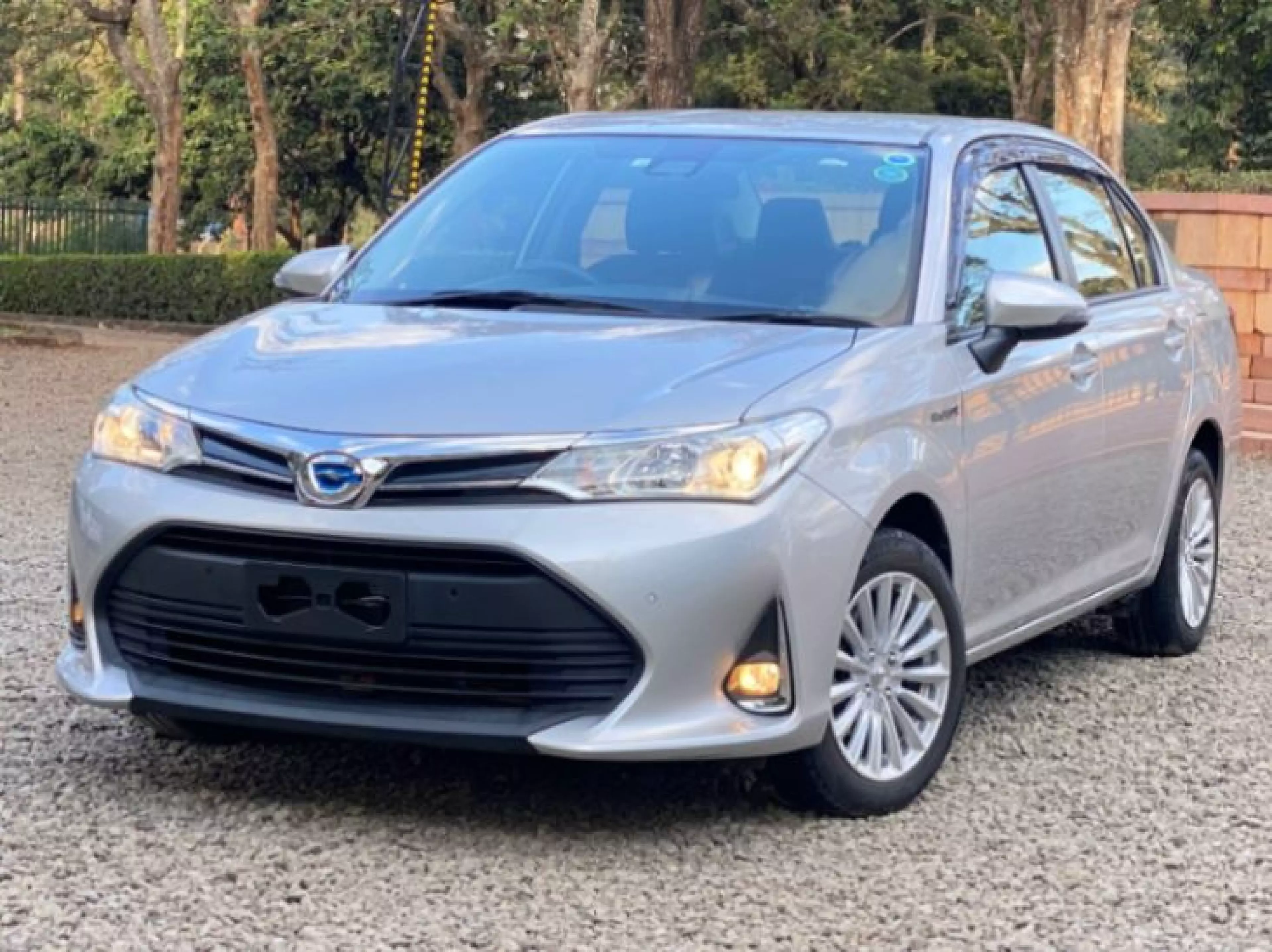 Toyota Axio hybrid  - 2018