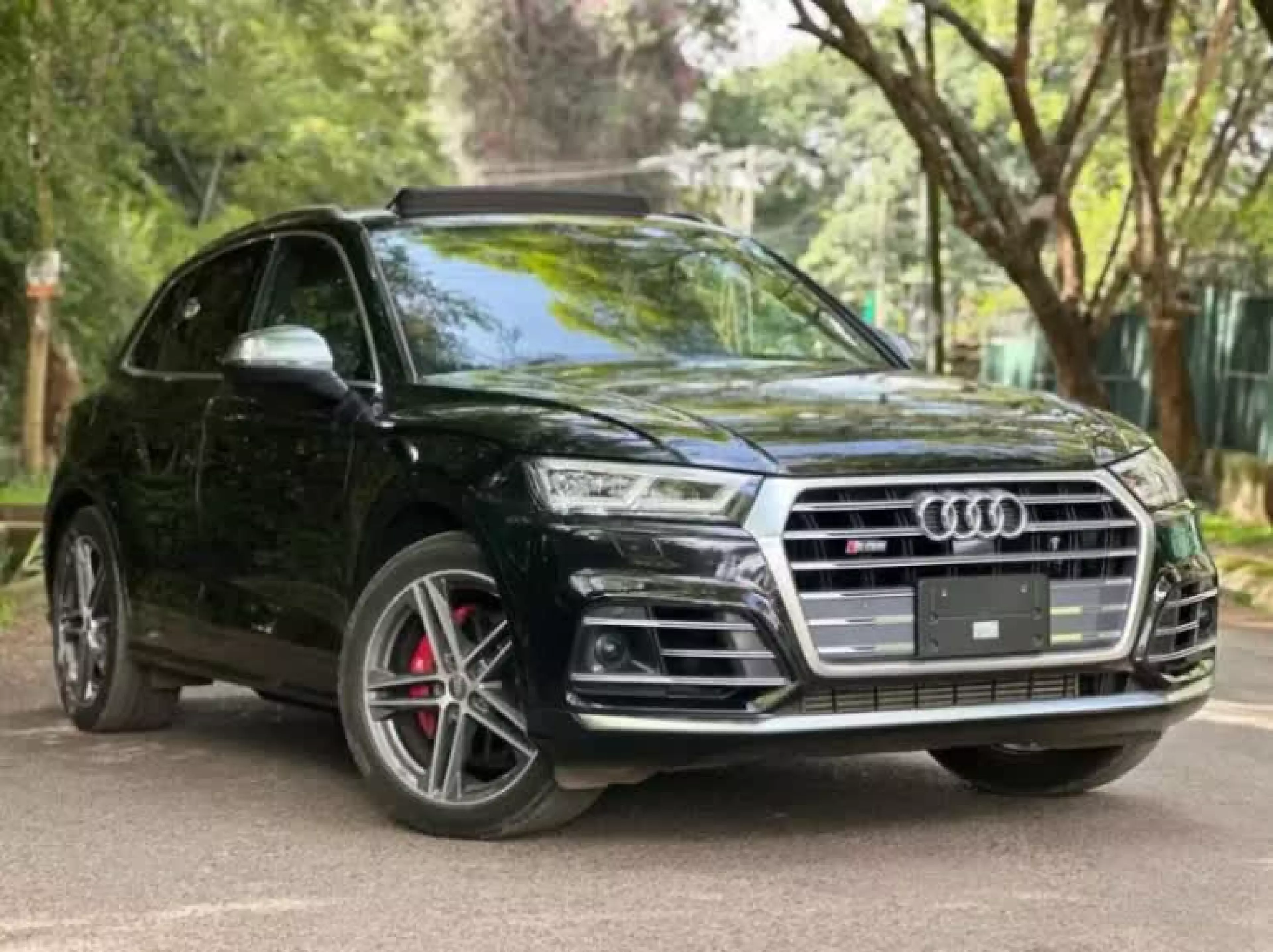 Audi SQ5 - 2018