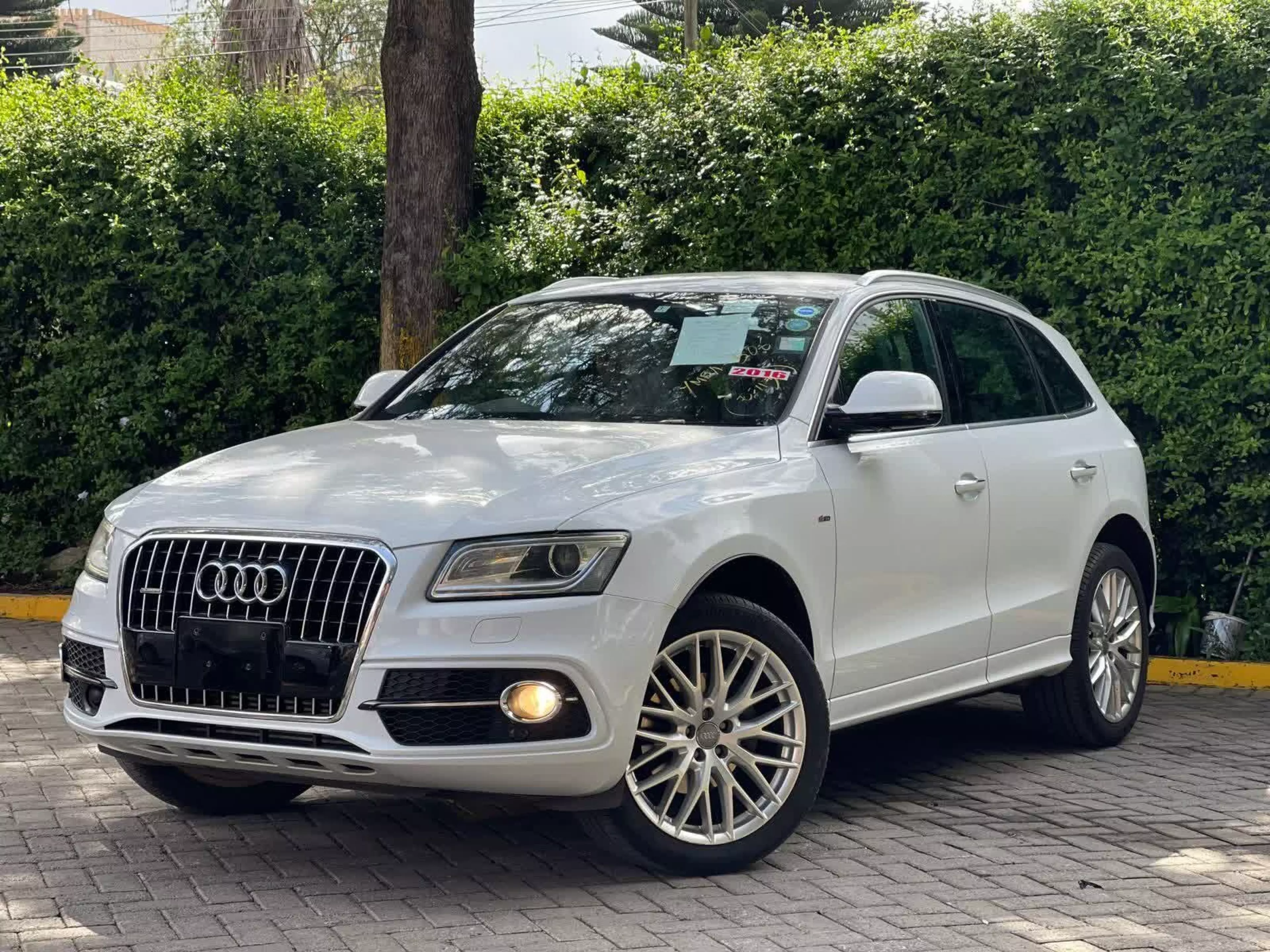 Audi SQ5 - 2016