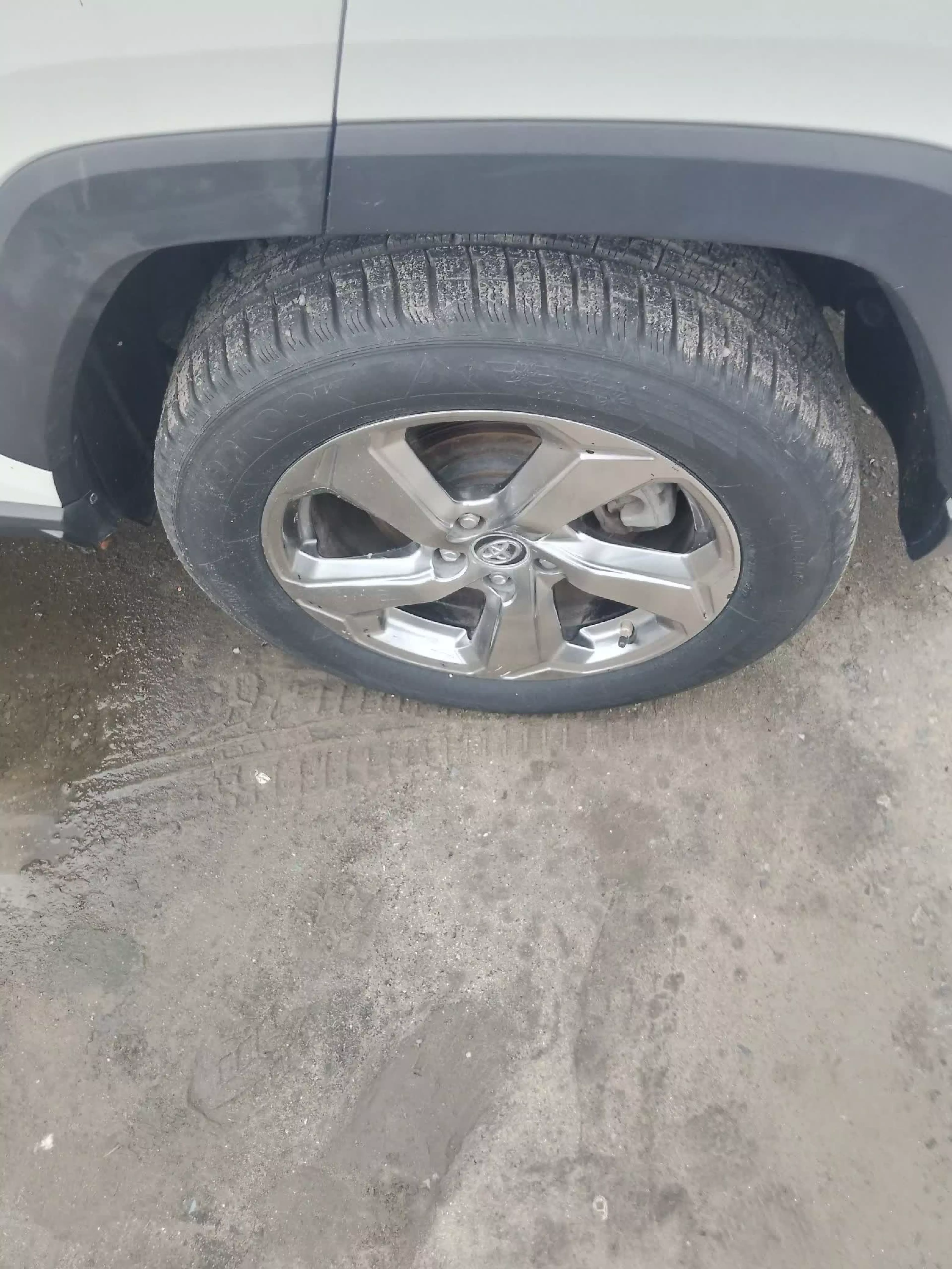 Toyota Rav 4 8AT 2.5l (Adventure Grade)   - 2020