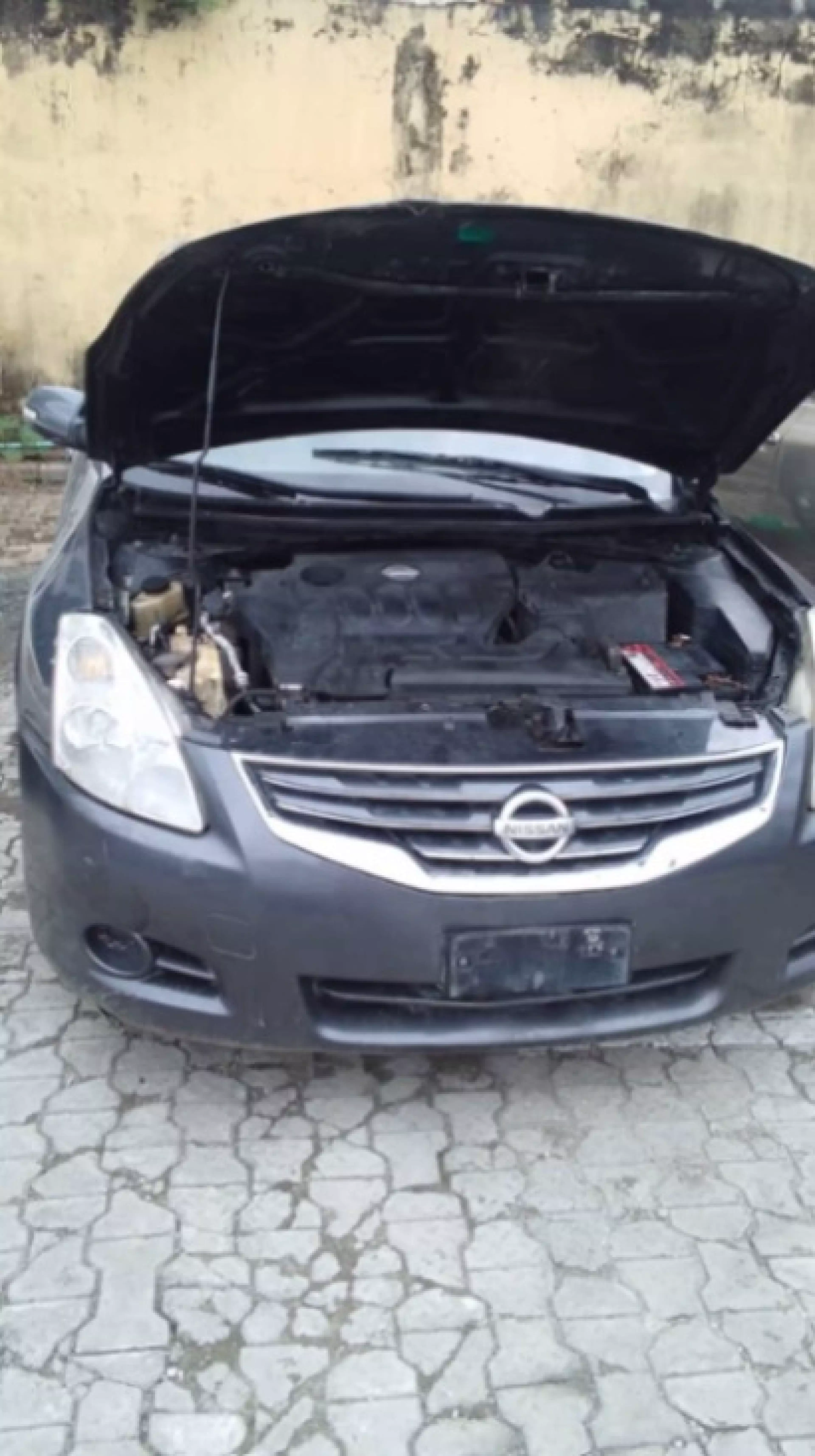 Nissan Altima - 2010