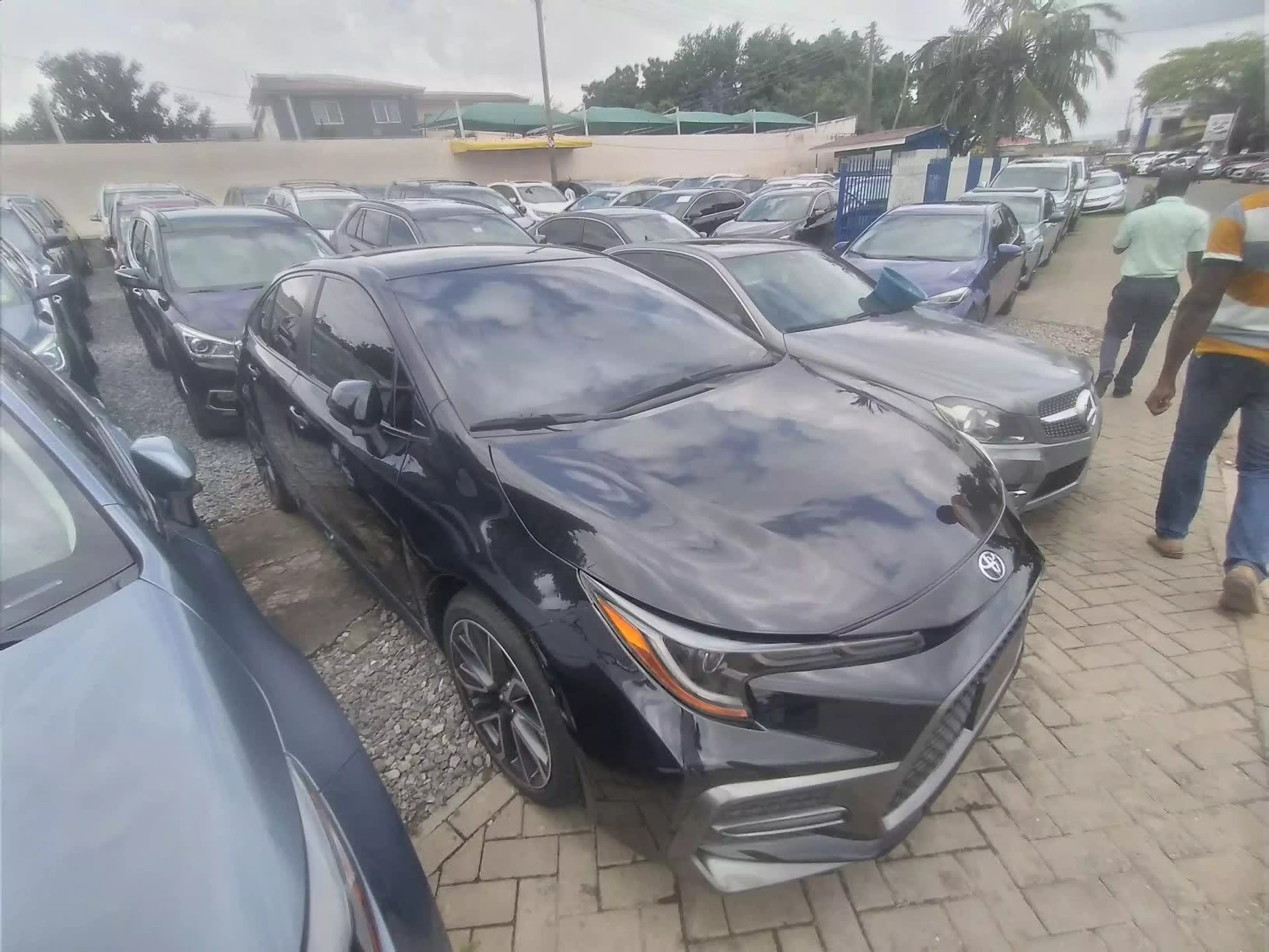 Toyota Corolla - 2020