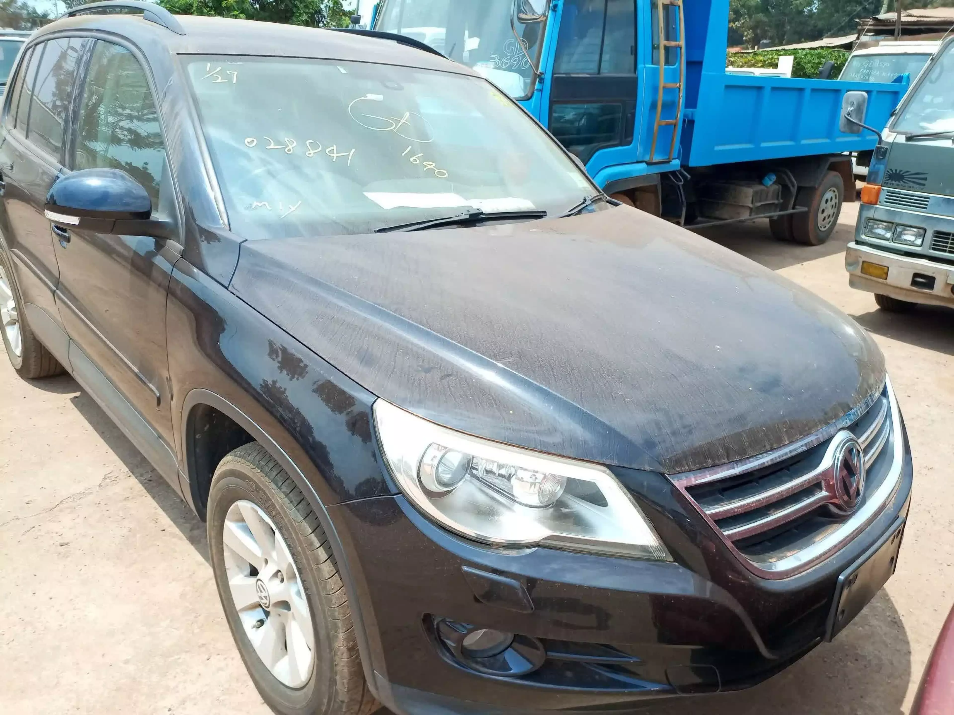 Volkswagen Tiguan - 2010
