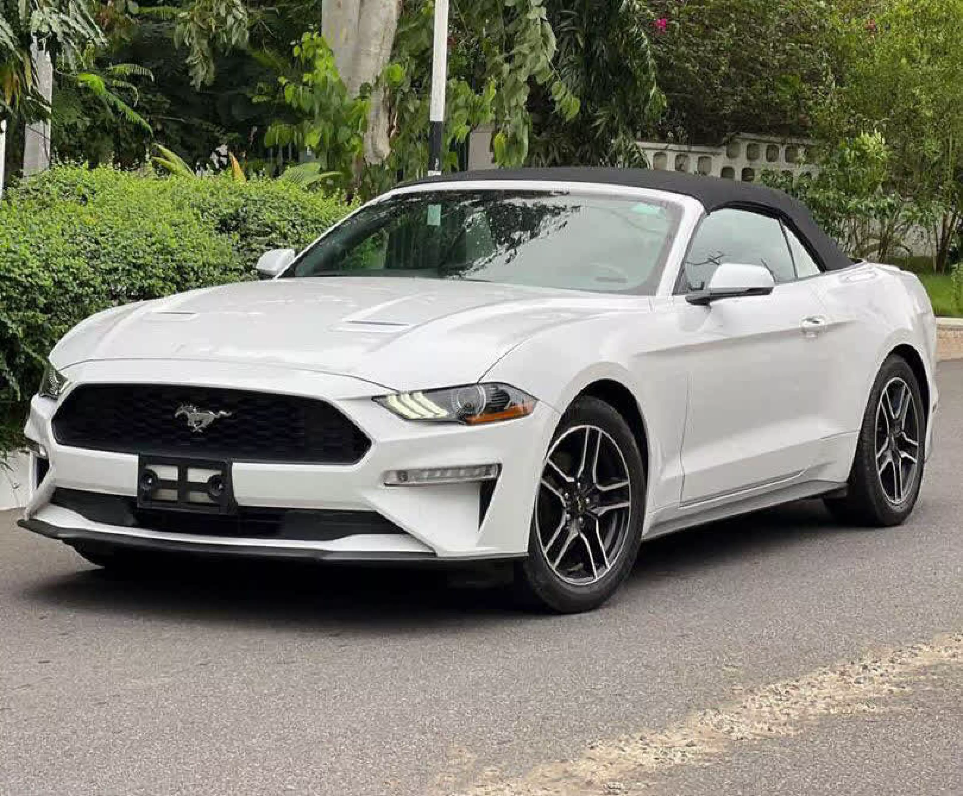 Ford Mustang GT Coupe 2.3L - 2020