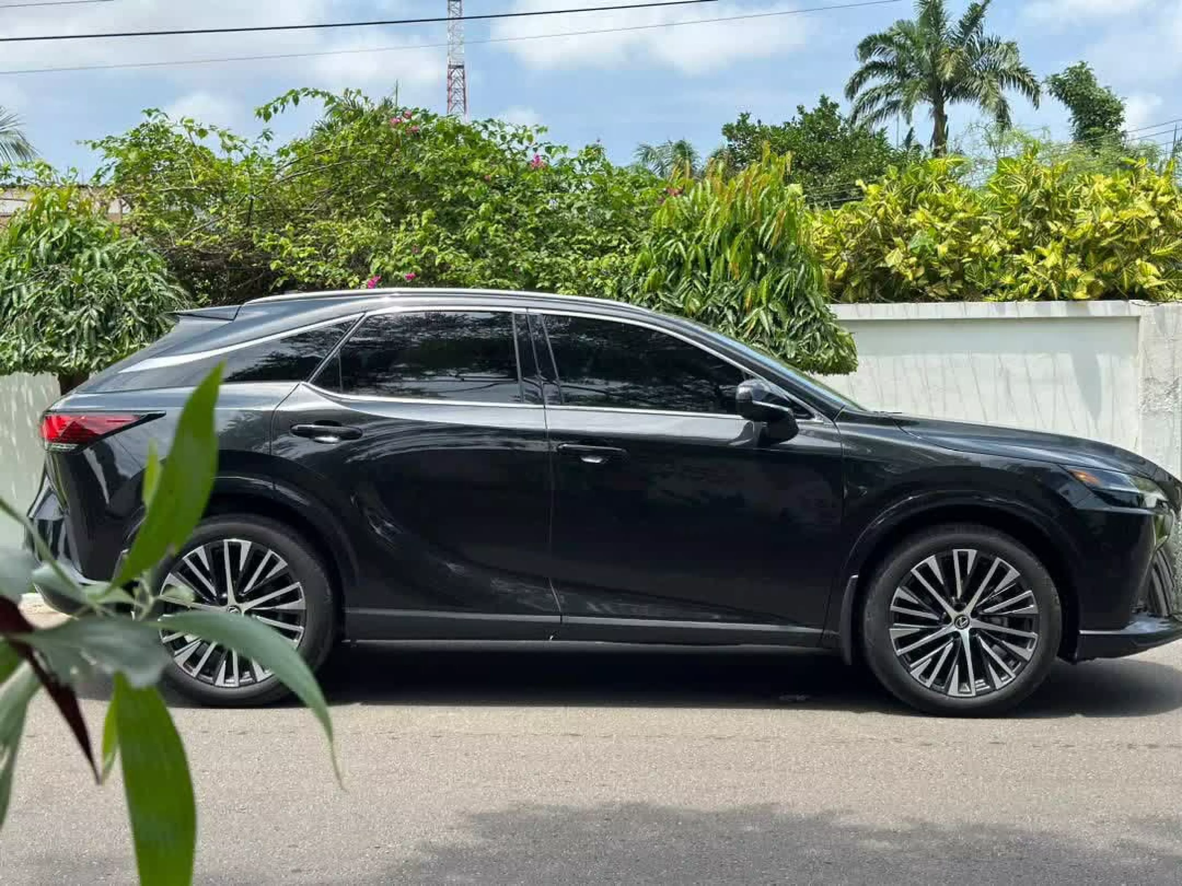 Lexus RX 350H   - 2024