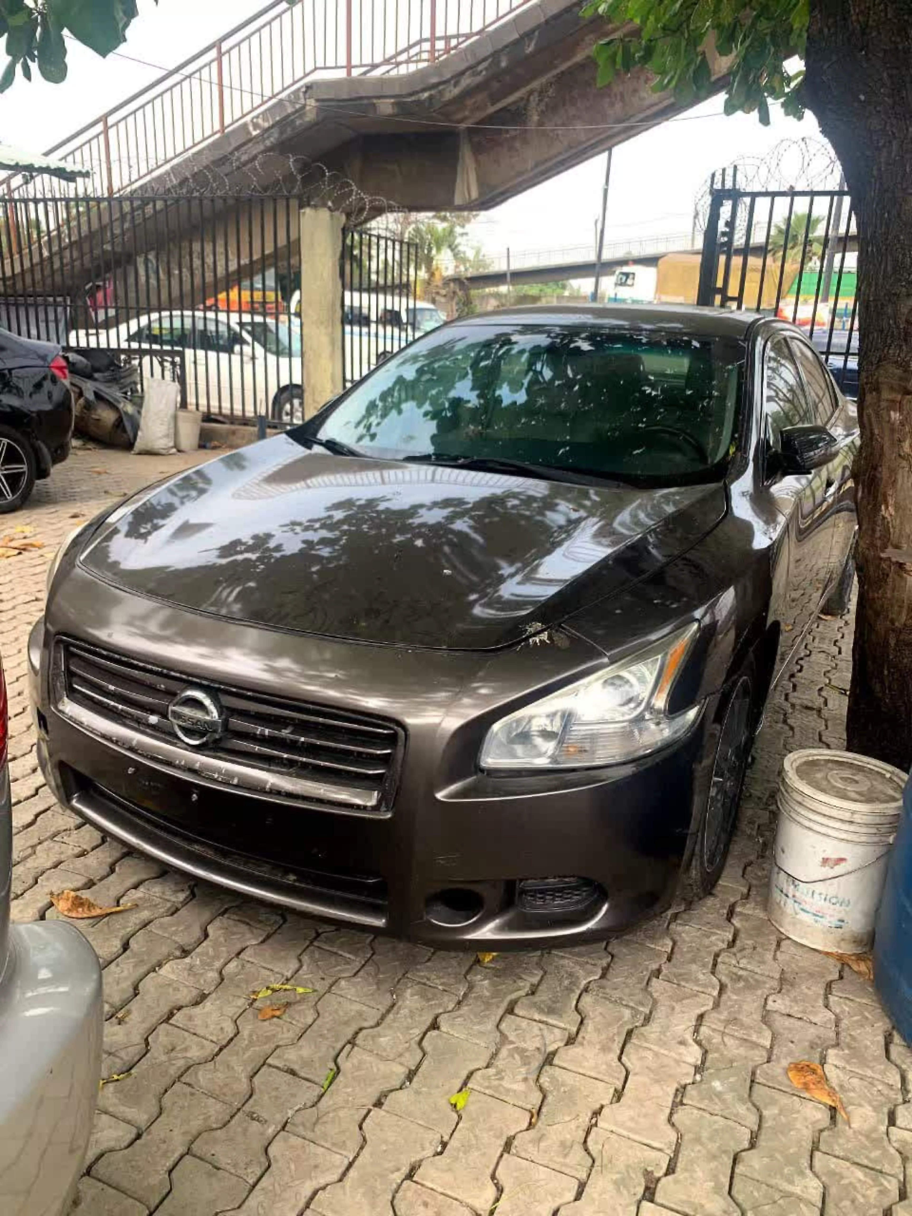 Nissan Maxima - 2012