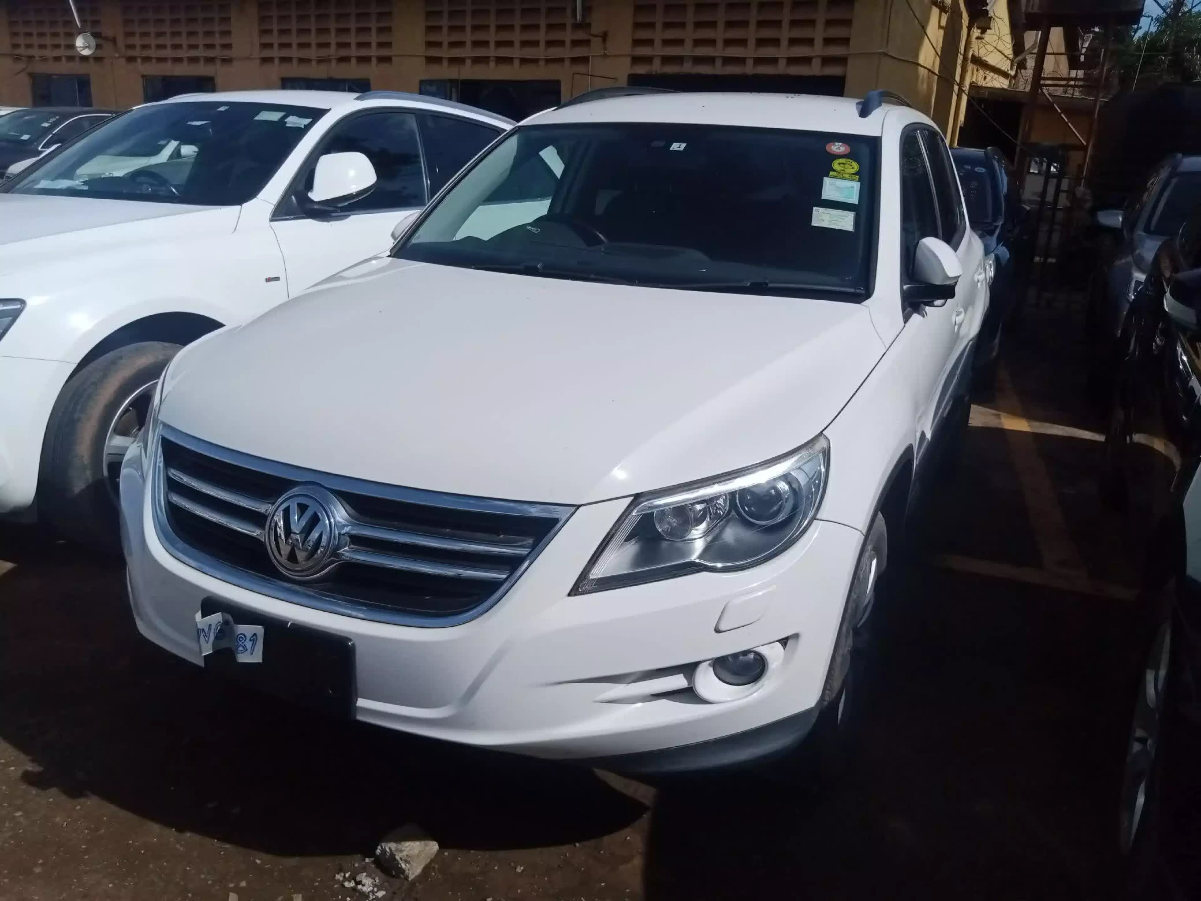 Volkswagen Tiguan - 2010