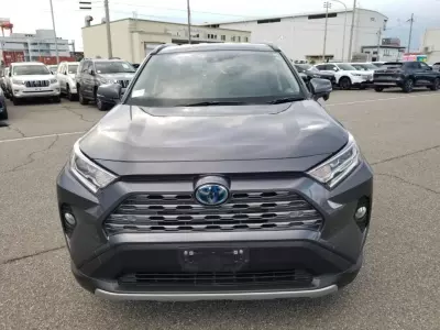 Toyota Rav 4 Hybrid   - 2019