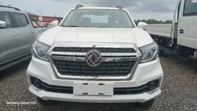 DONGFENG RICH