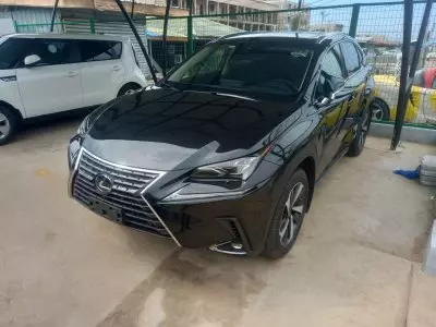 Lexus NX 300