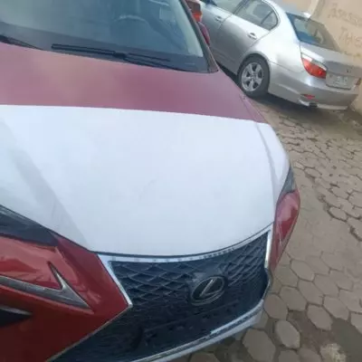Lexus NX 300