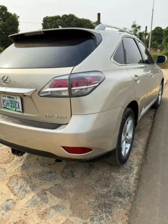 2014 Lexus Rx