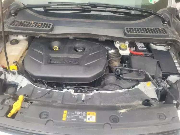 Ford Escape