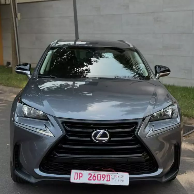 Lexus NX300h Hybrid