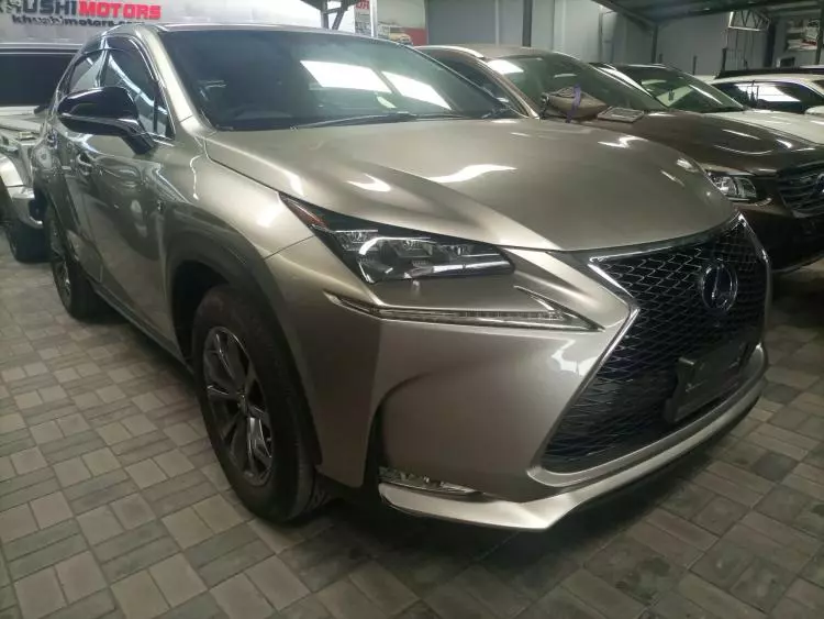 Lexus NX 300