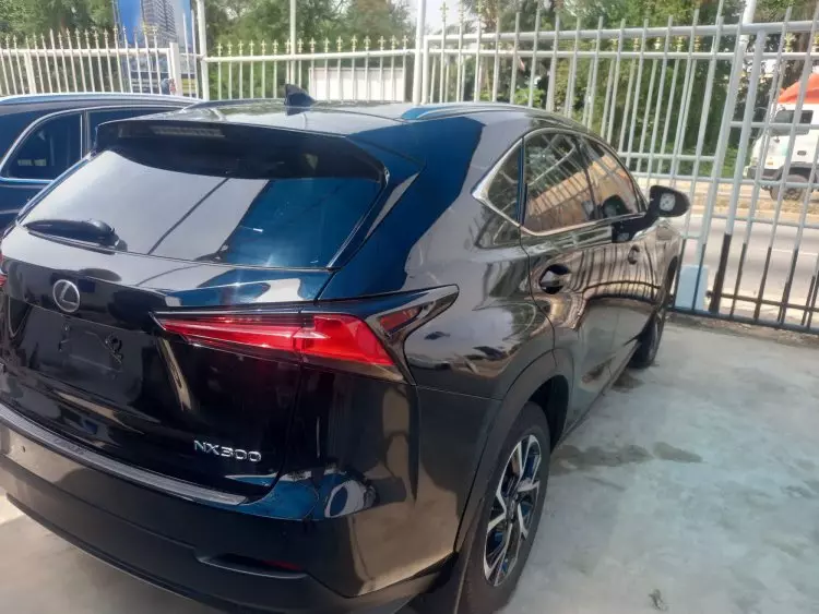 Lexus NX 300