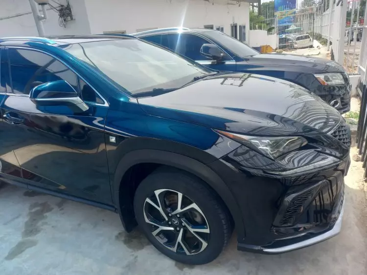 Lexus NX 300