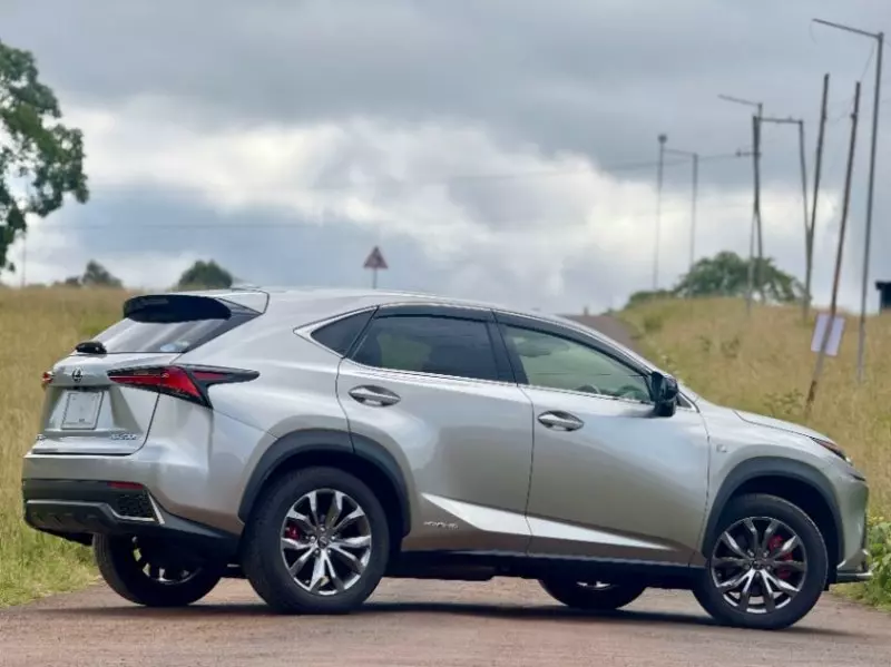 Lexus NX300h Hybrid   - 2018