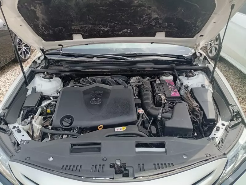 Toyota Camry   - 2019