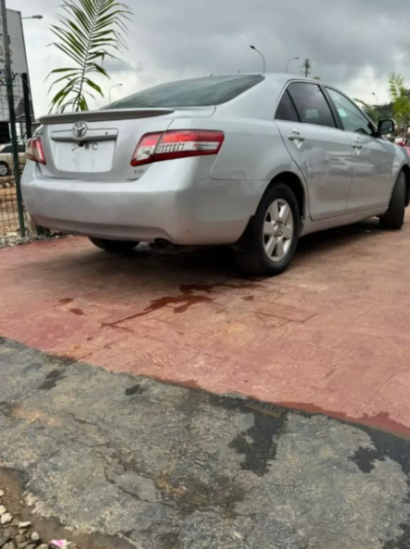 Toyota Camry   - 2010