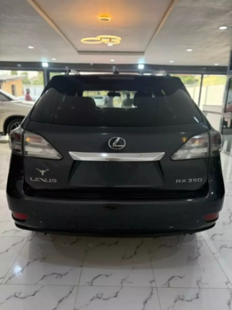 Lexus RX   - 2010
