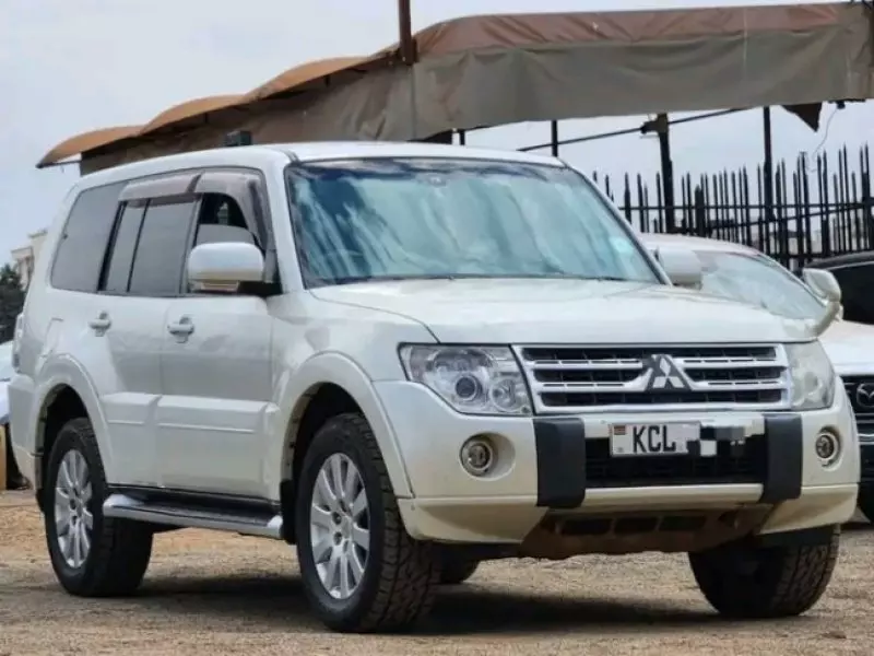 Mitsubishi Pajero   - 2010