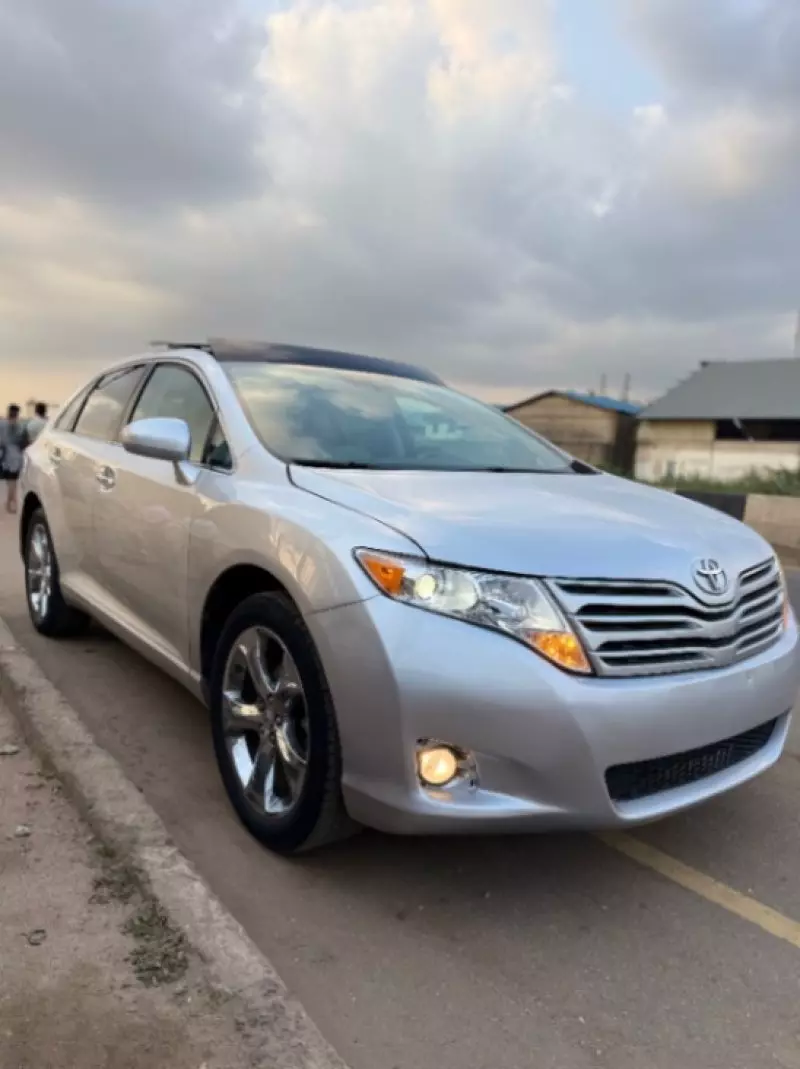 Toyota Venza   - 2010