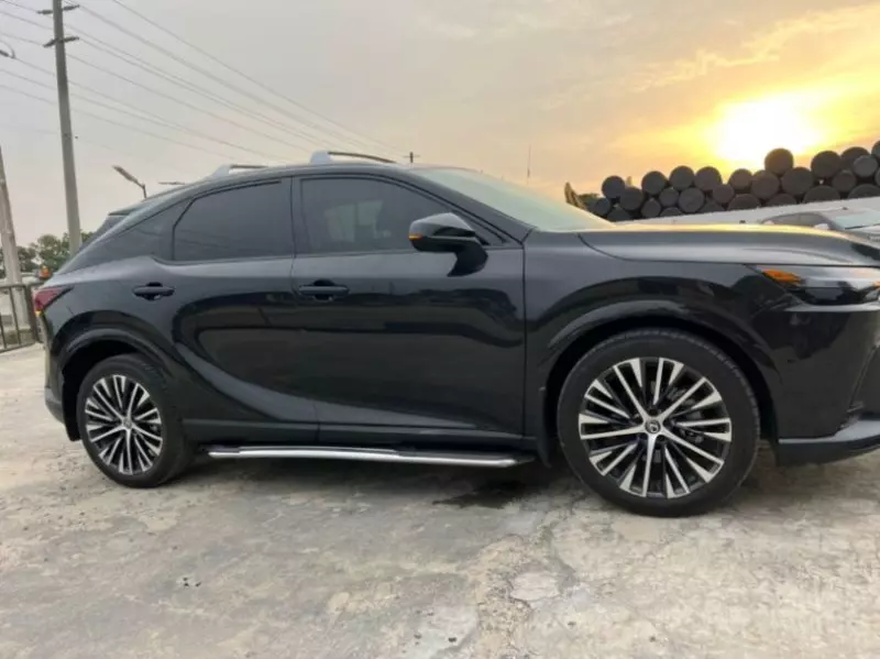 Lexus RX   - 2024