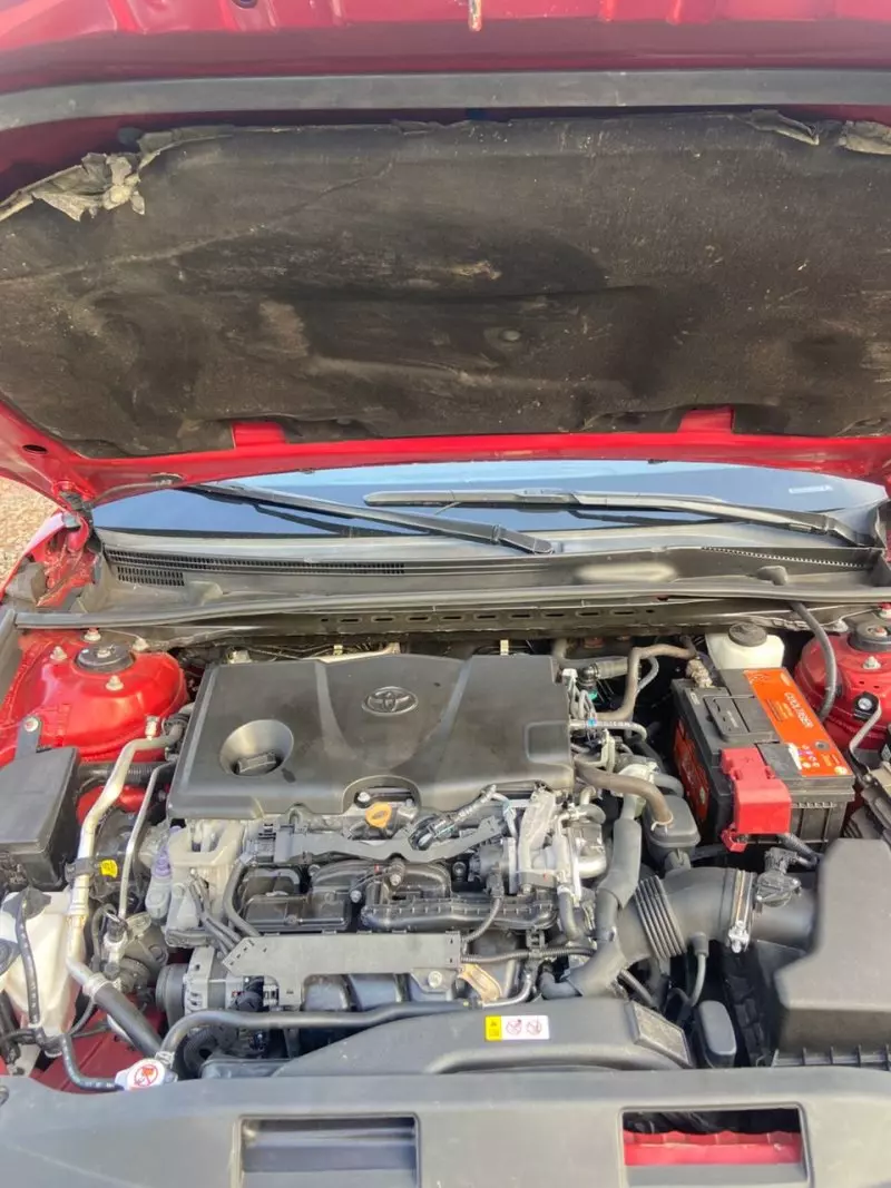 Toyota Camry   - 2019