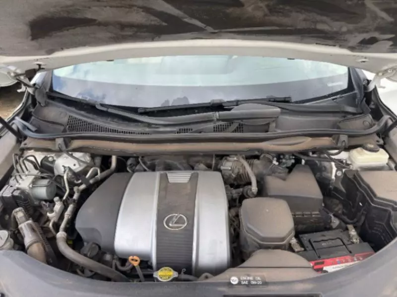 Lexus RX 350   - 2017