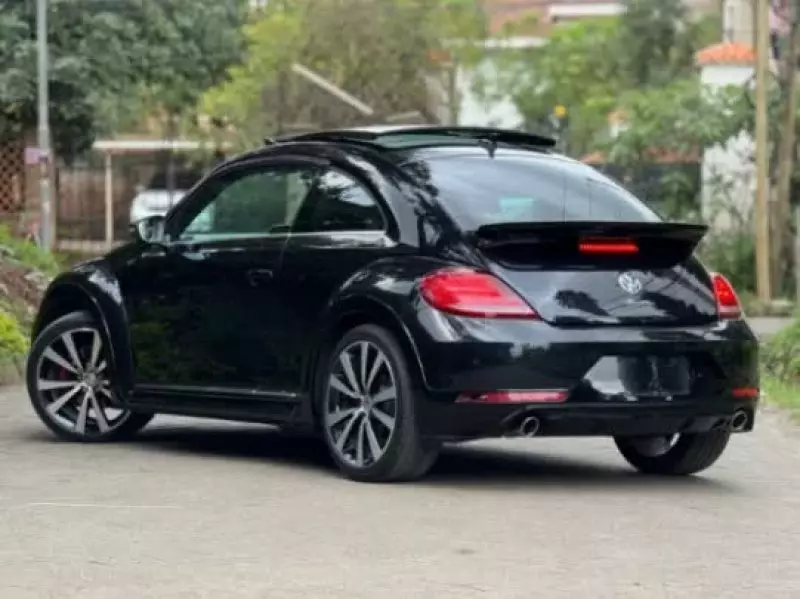 Volkswagen Beetle - 2019