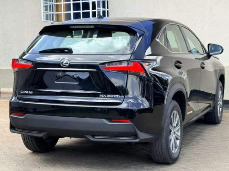 Lexus NX 300